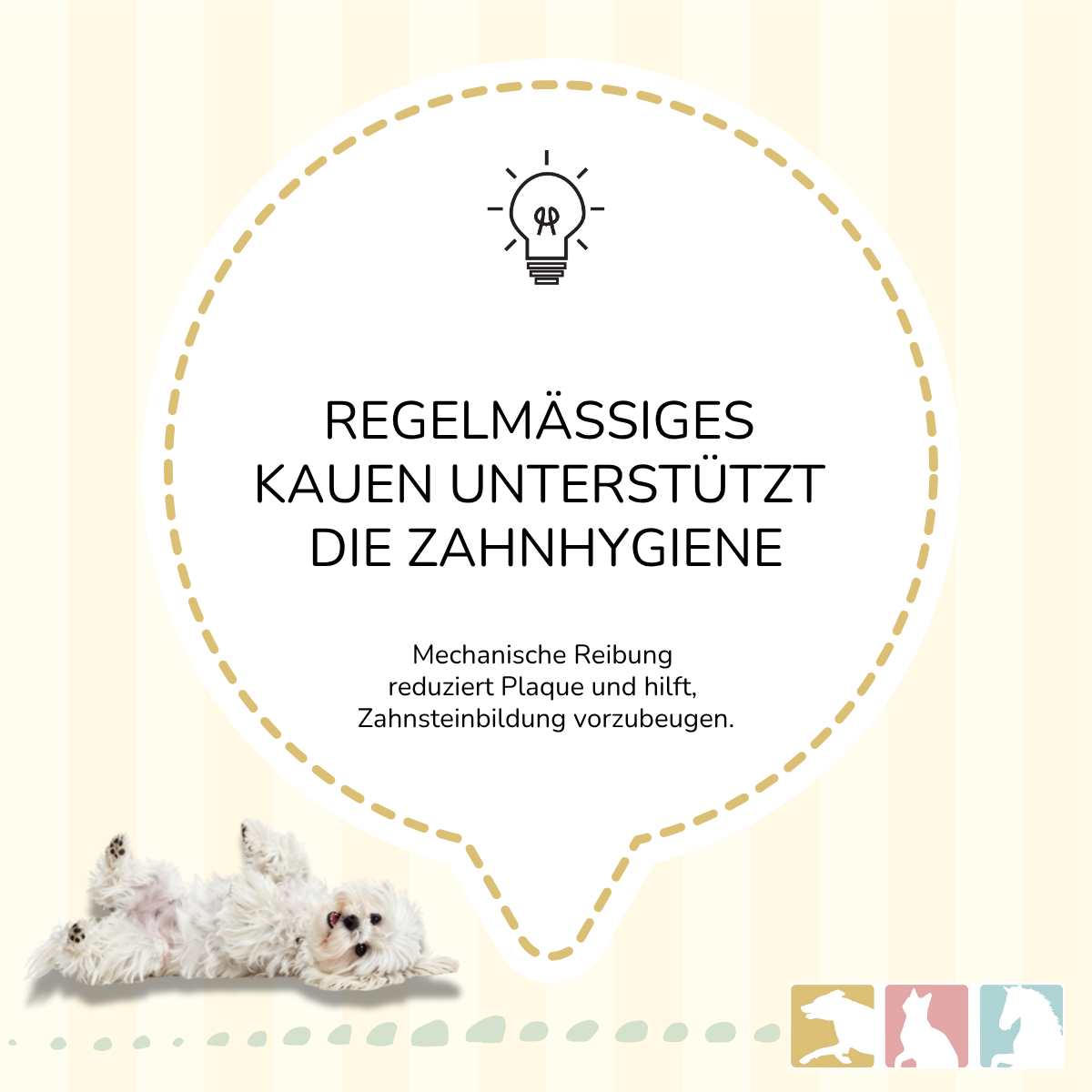 Kaustab (Kaffeeholz)