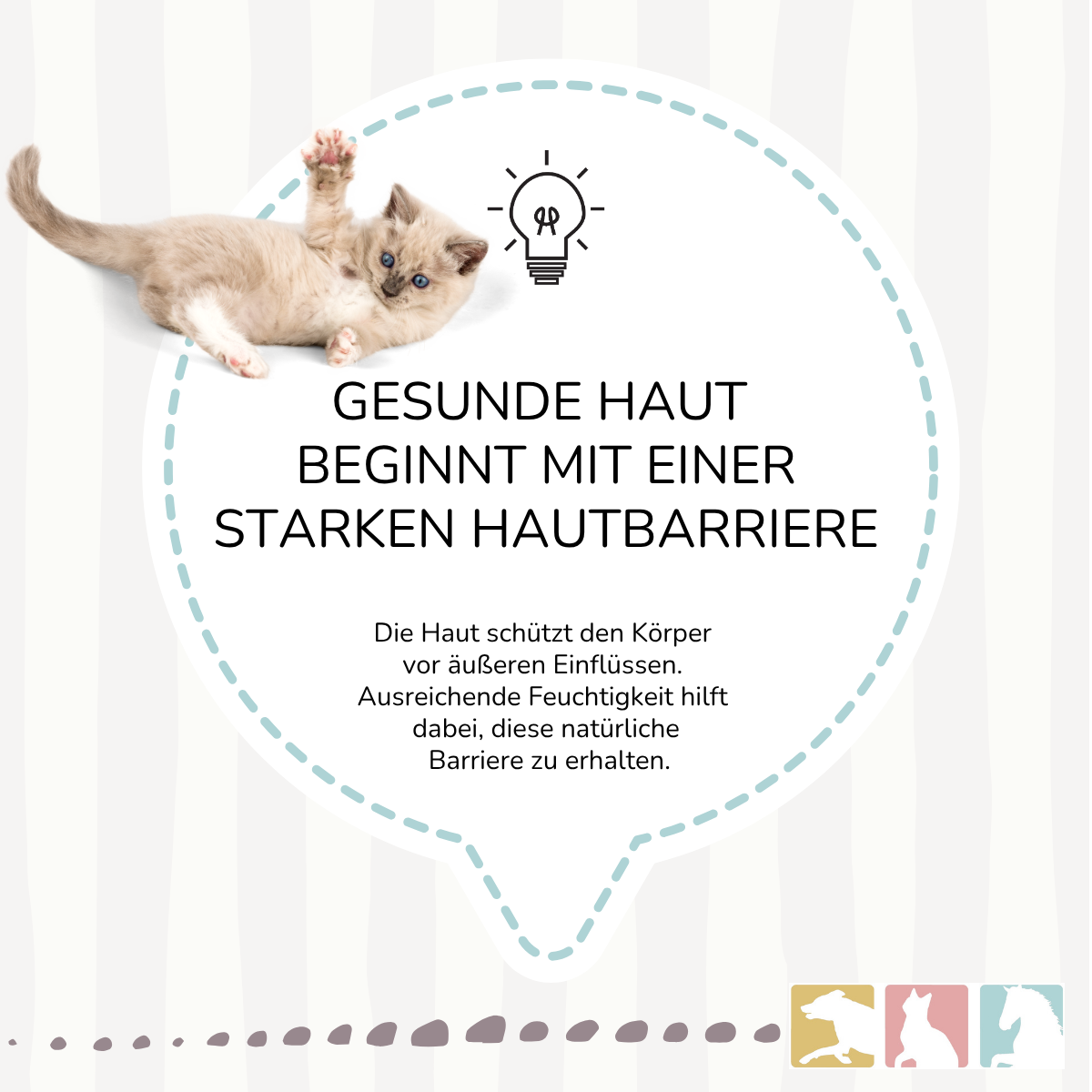 Wundschutz Salbe (feuchthaltend)