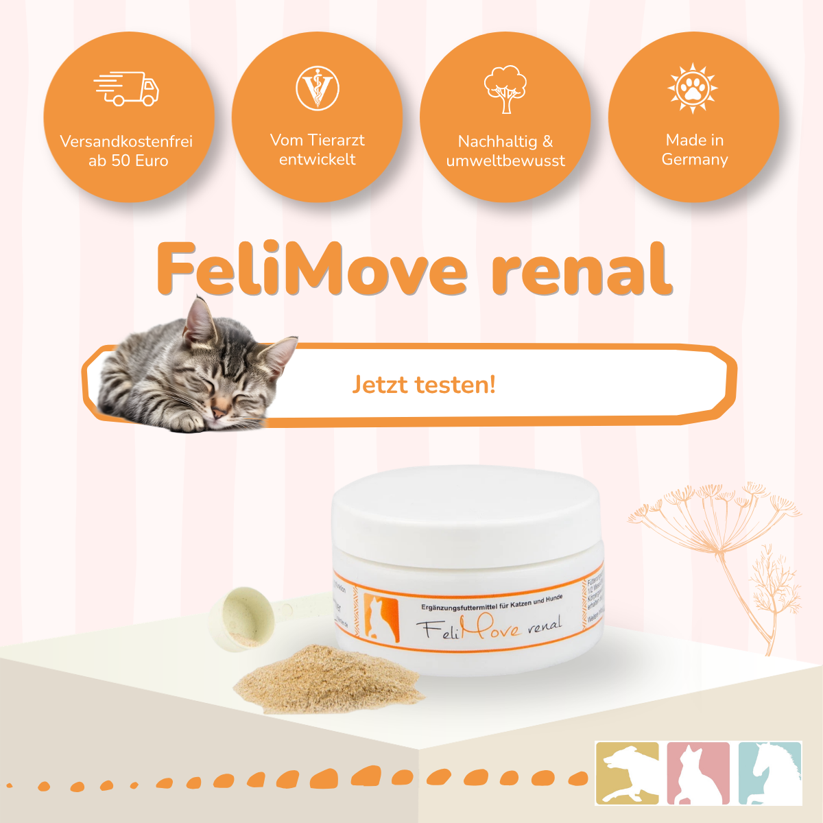 FeliMove renal
