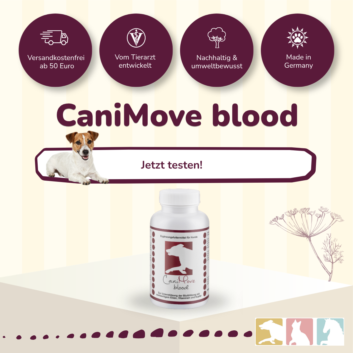 CaniMove blood