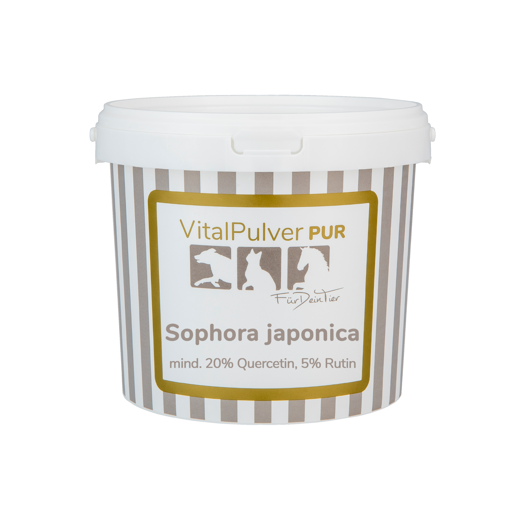 Sophora