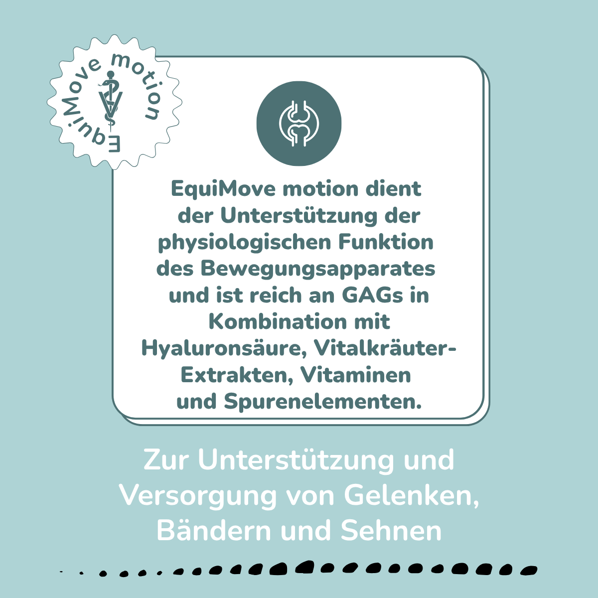 EquiMove motion