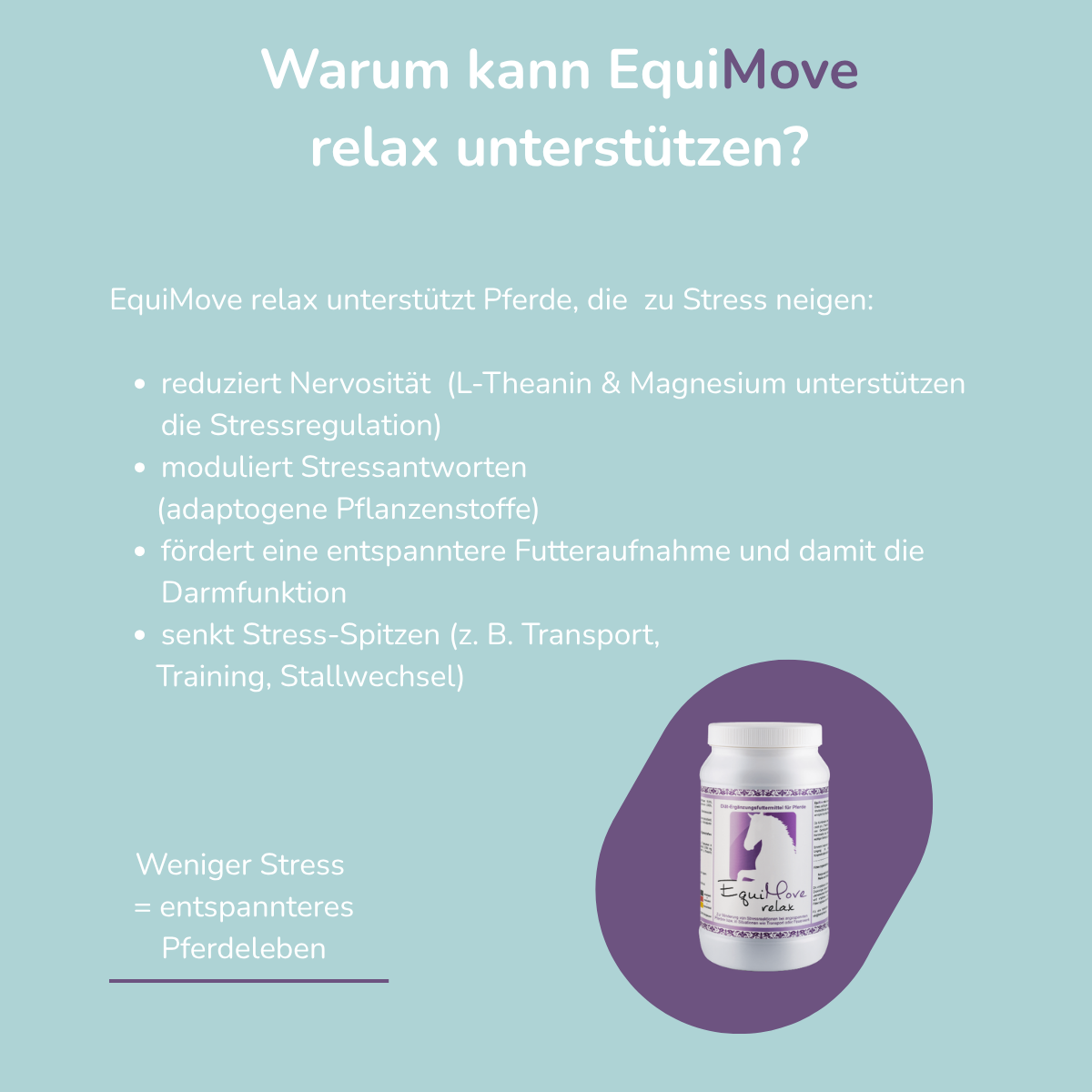 EquiMove relax