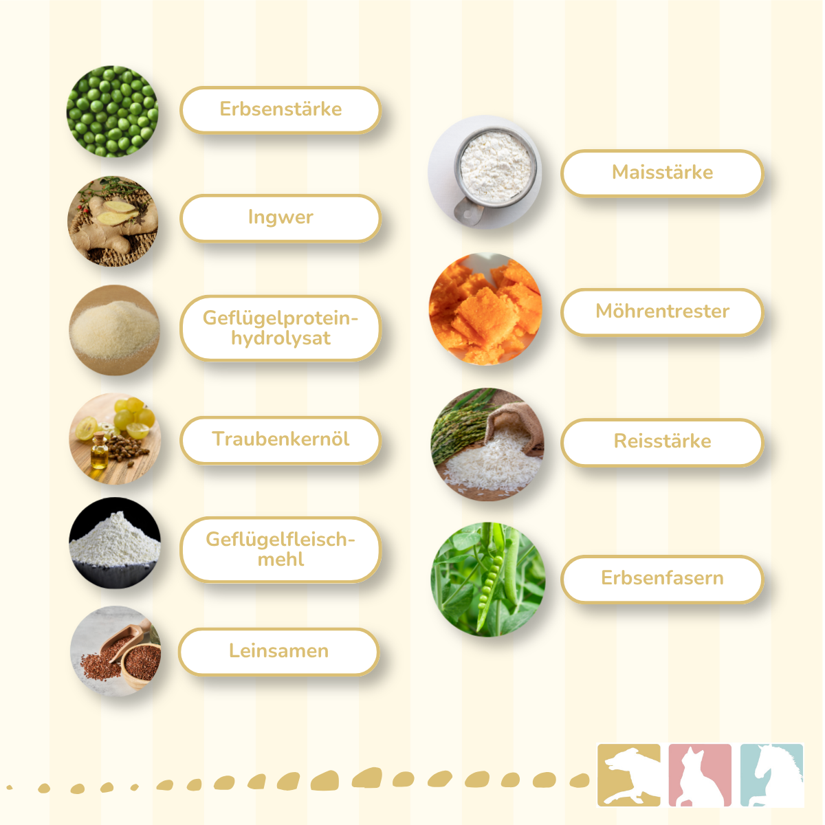 CaniMove low fat