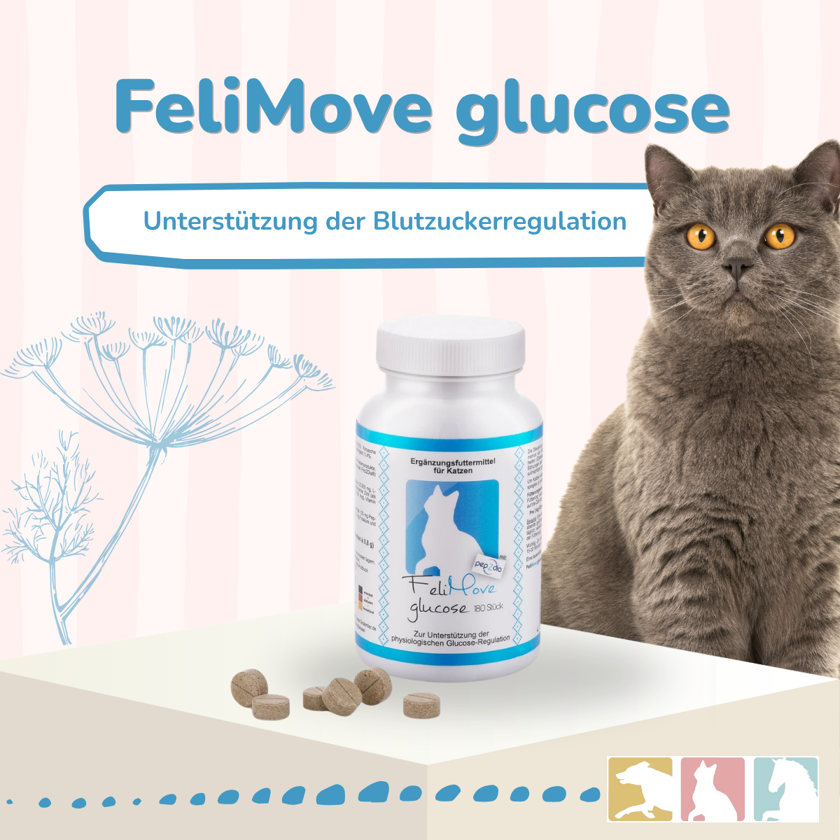 FeliMove glucose