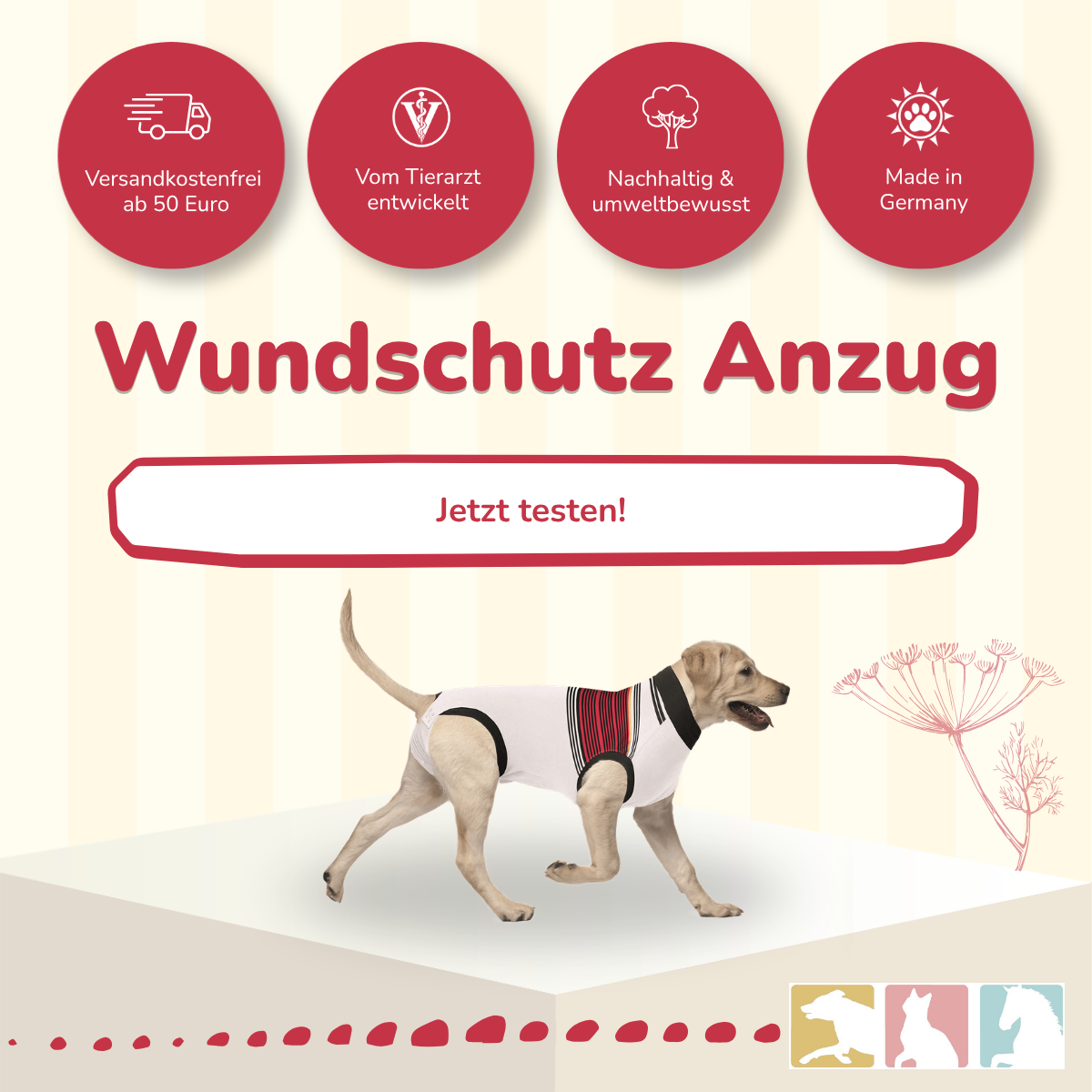 Wundschutz Anzug
