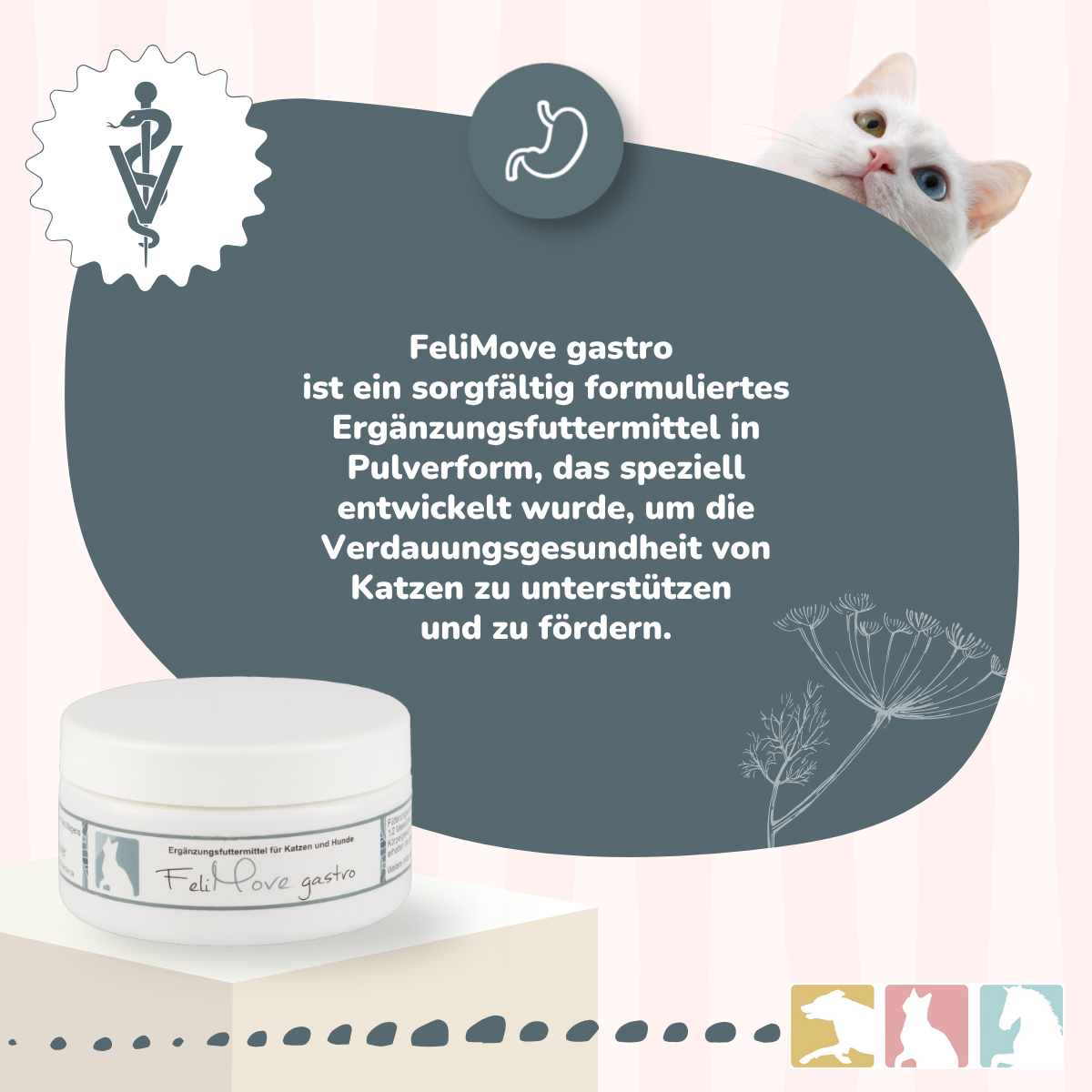FeliMove gastro