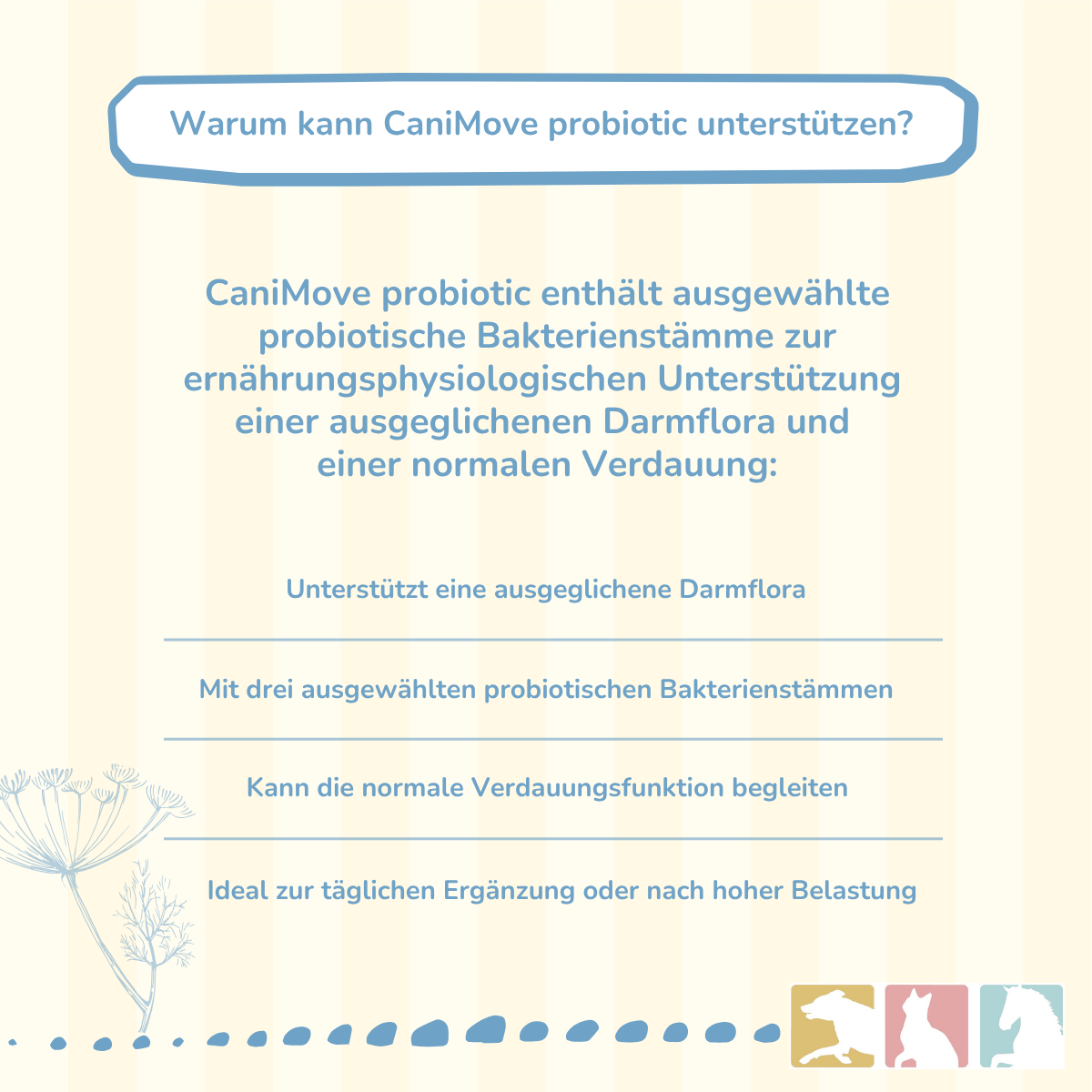 CaniMove probiotic
