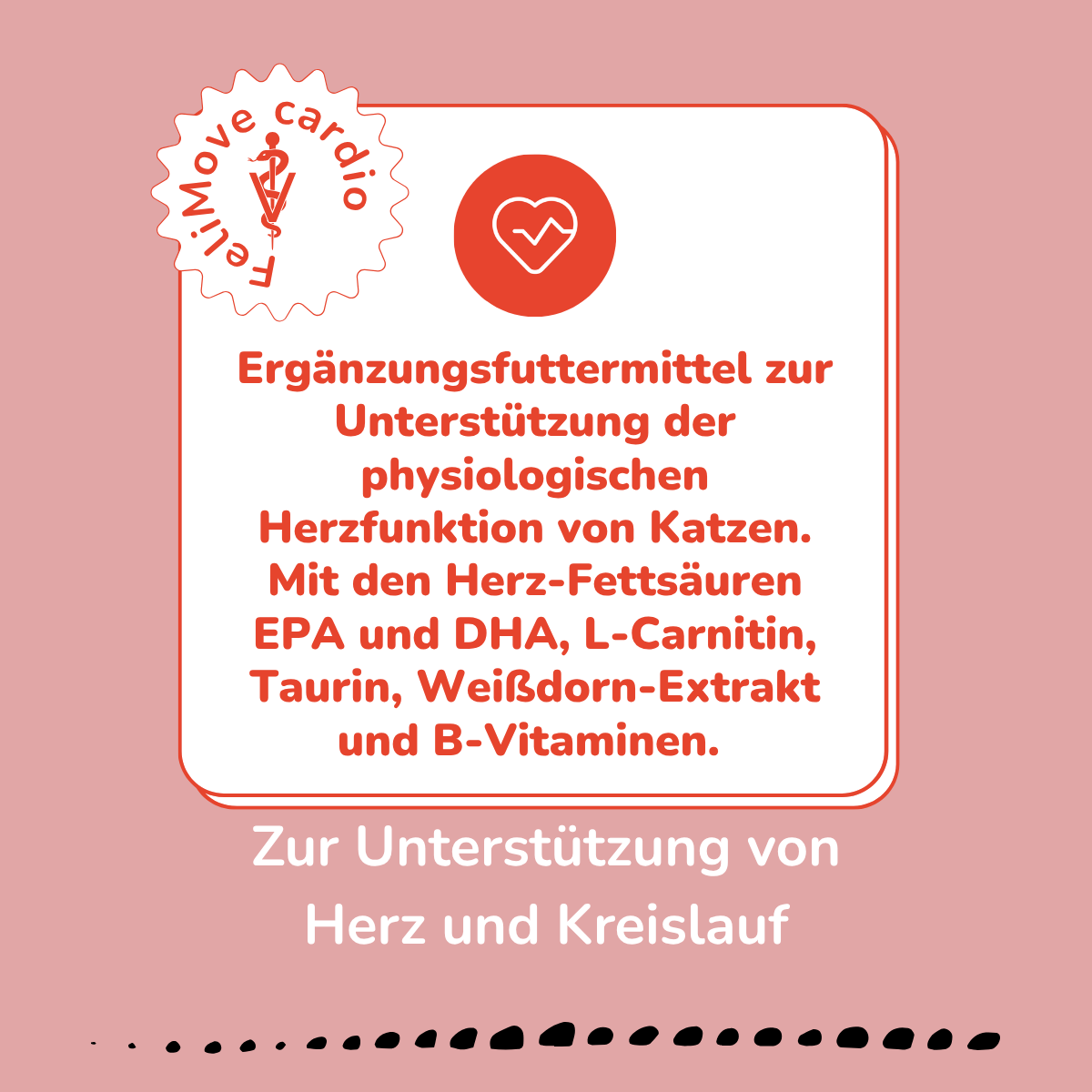 FeliMove cardio