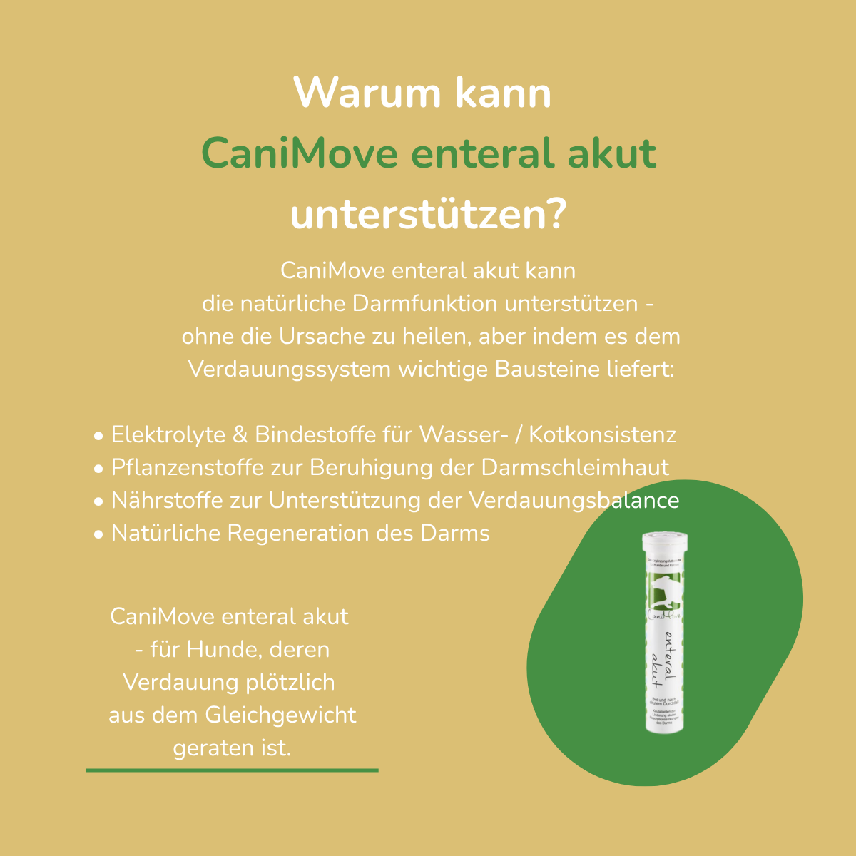 CaniMove enteral akut