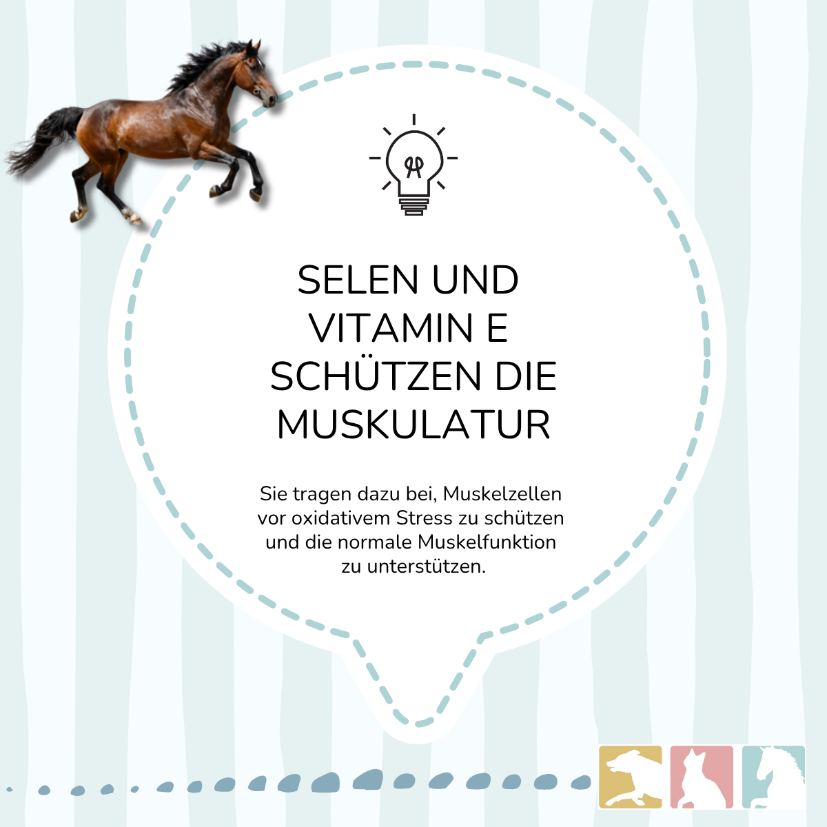 EquiMove Selen + E