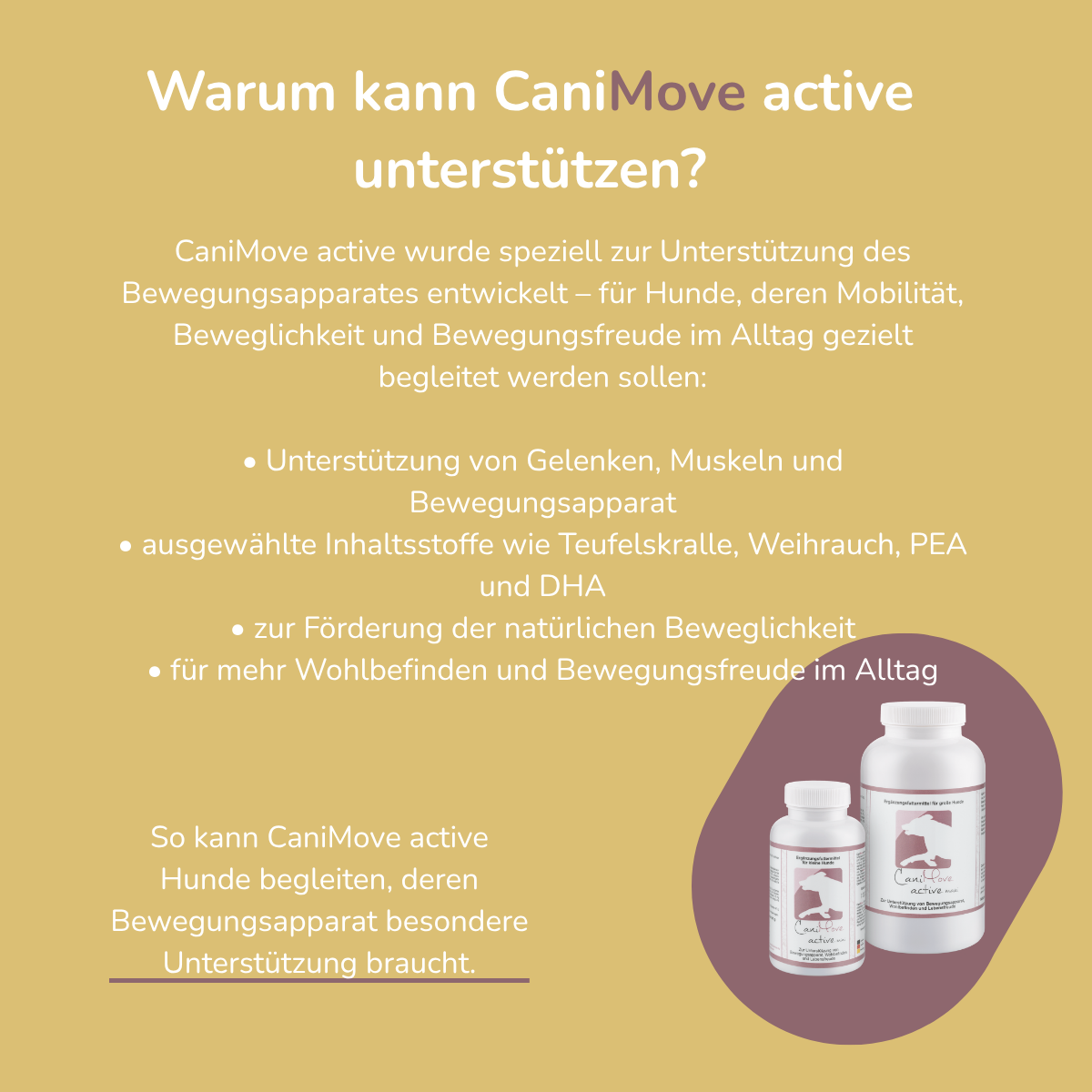 CaniMove active