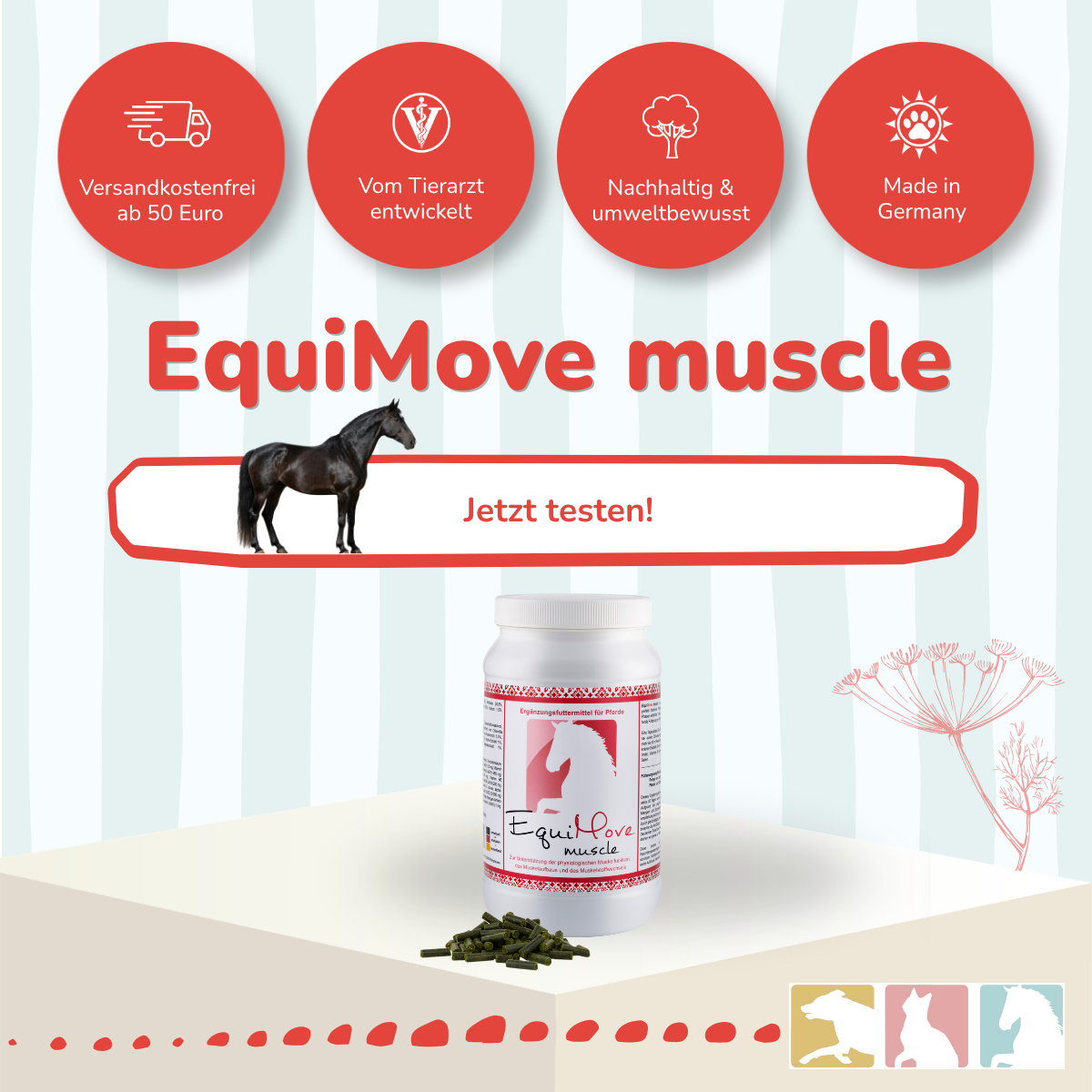 EquiMove muscle