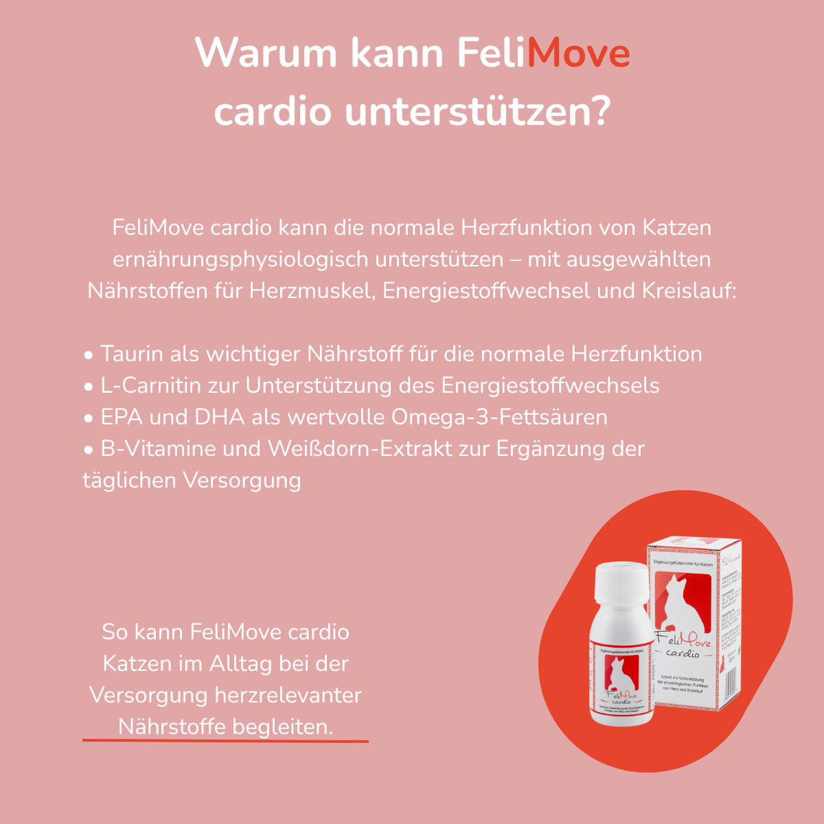 FeliMove cardio