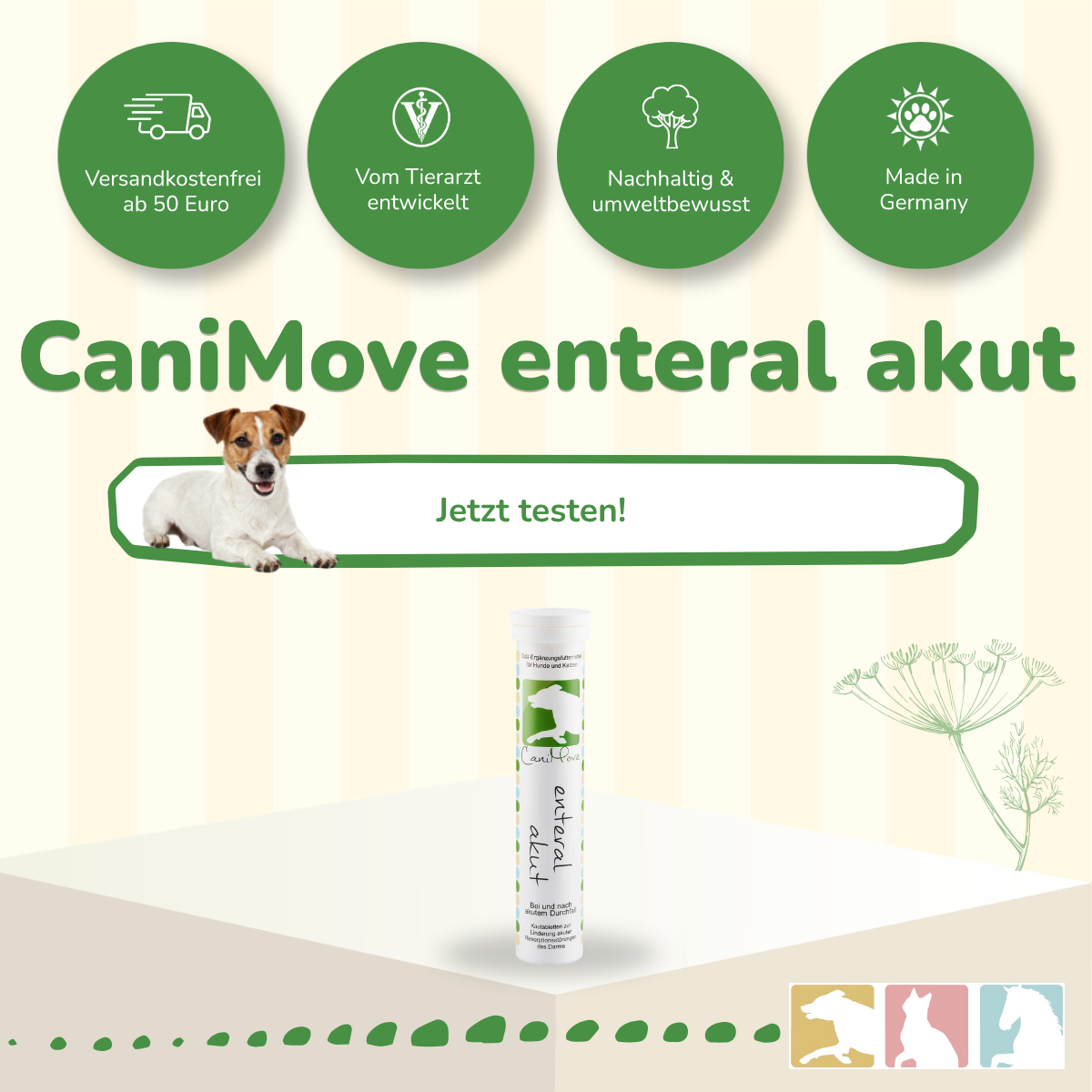 CaniMove enteral akut