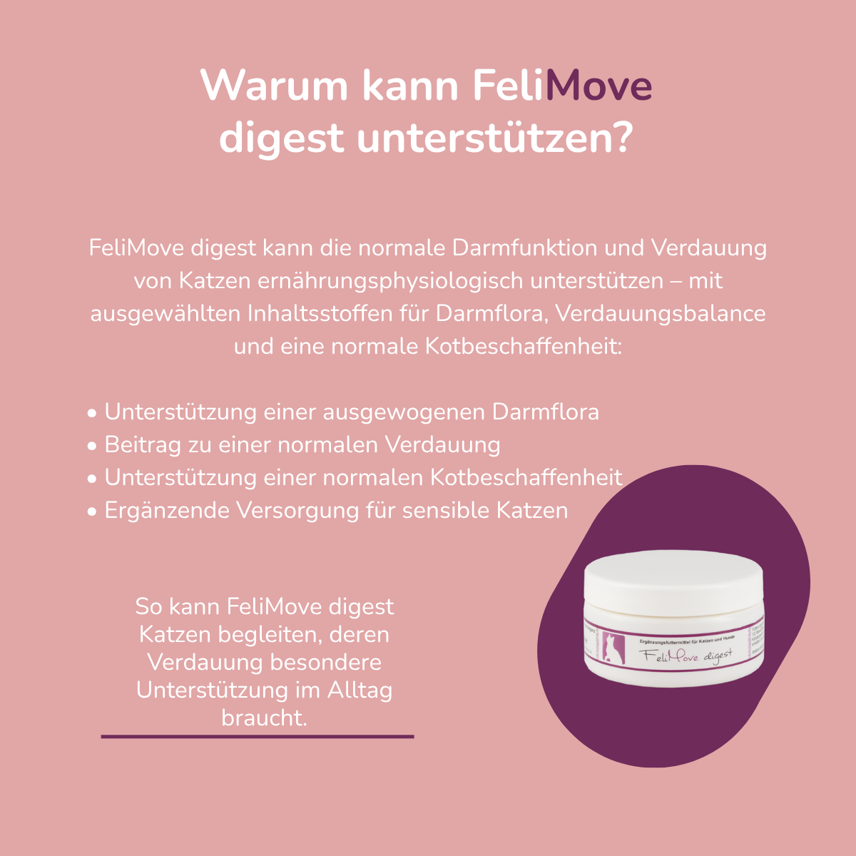 FeliMove digest