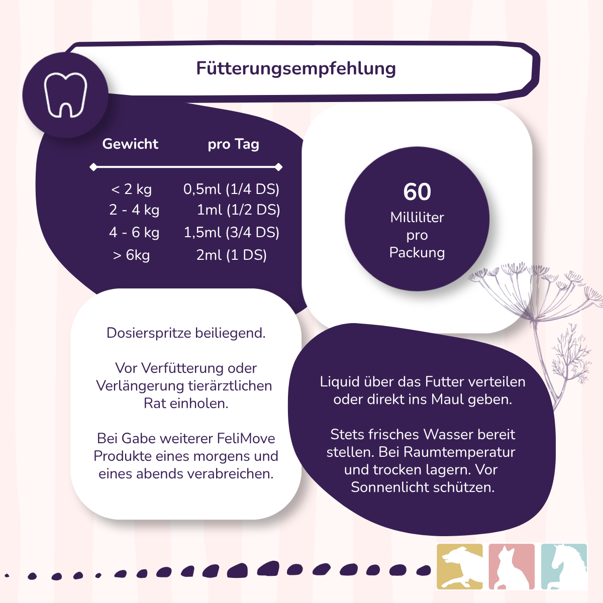 FeliMove dental
