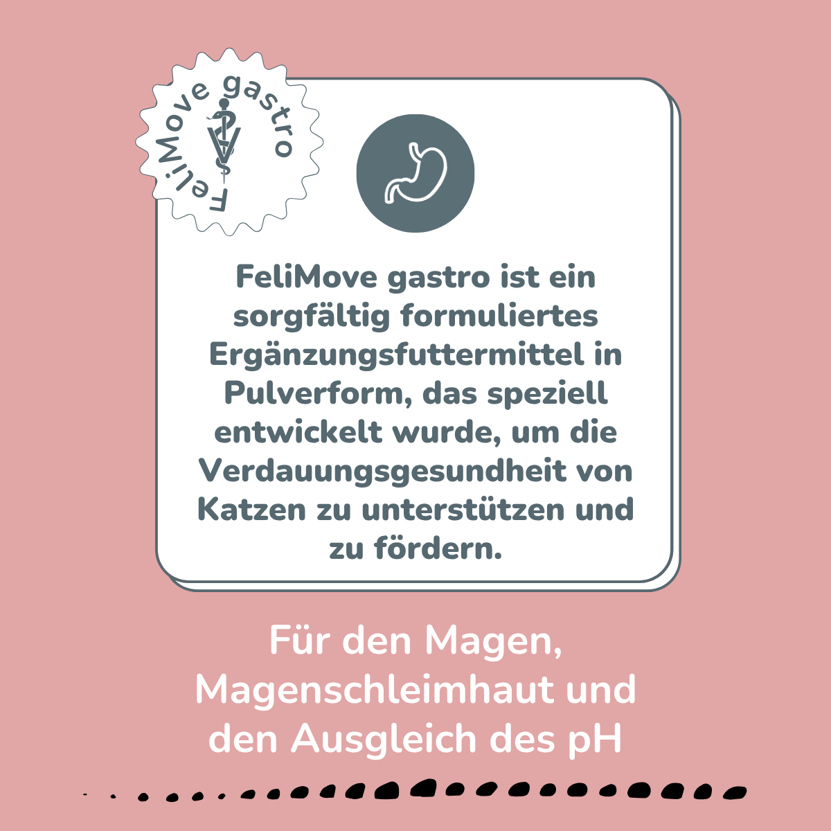 FeliMove gastro