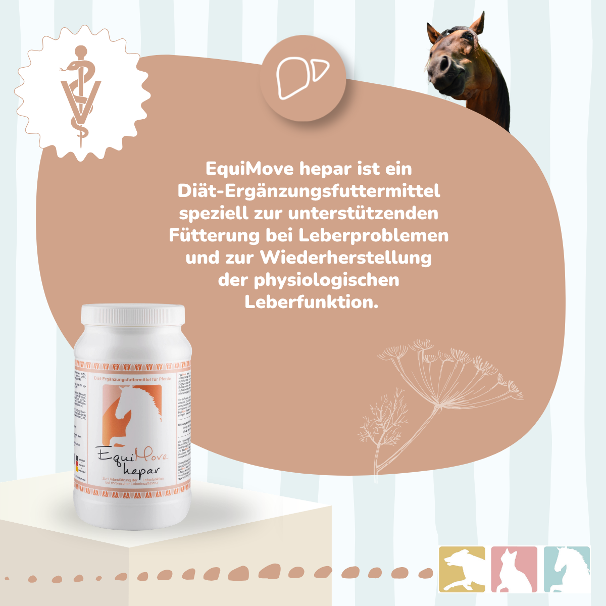 EquiMove hepar