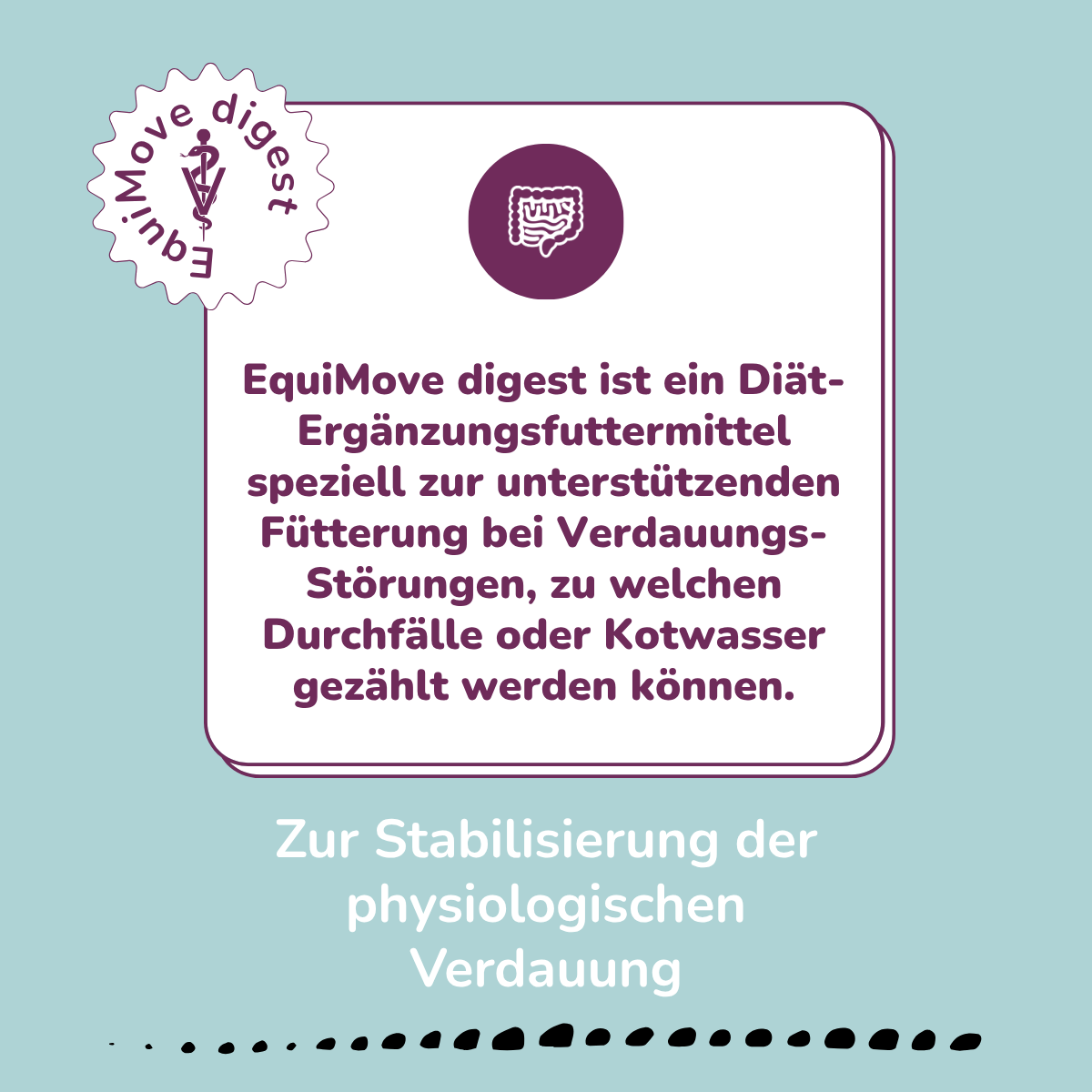 EquiMove digest