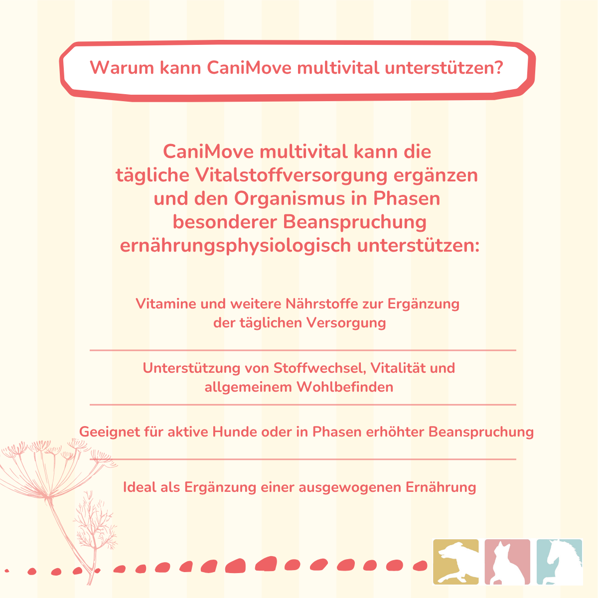 CaniMove multivital