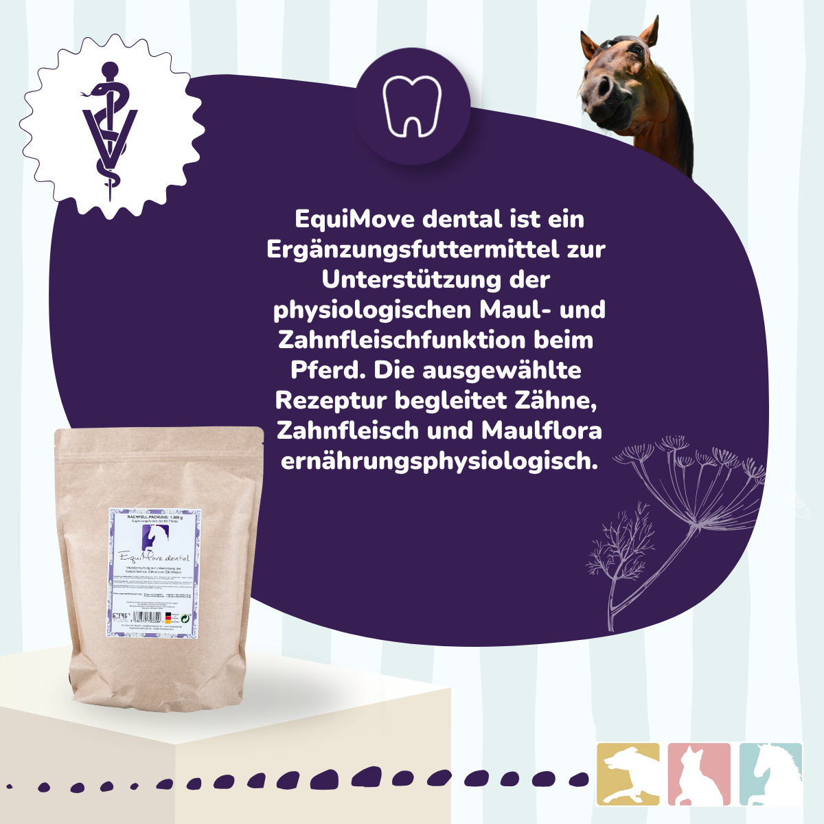 EquiMove dental