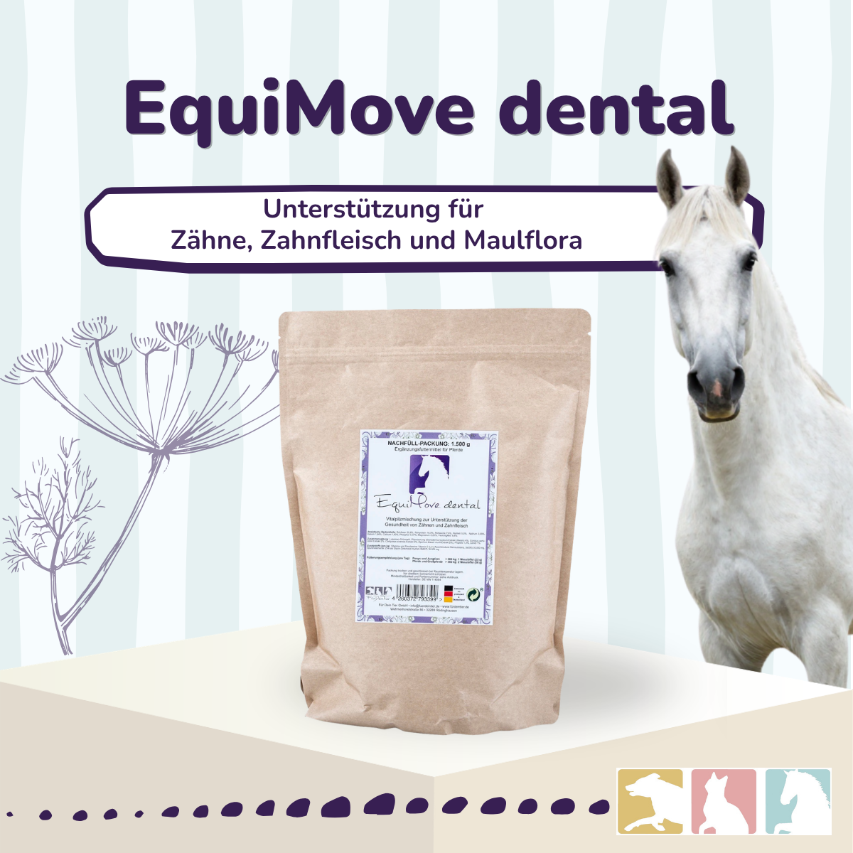 EquiMove dental
