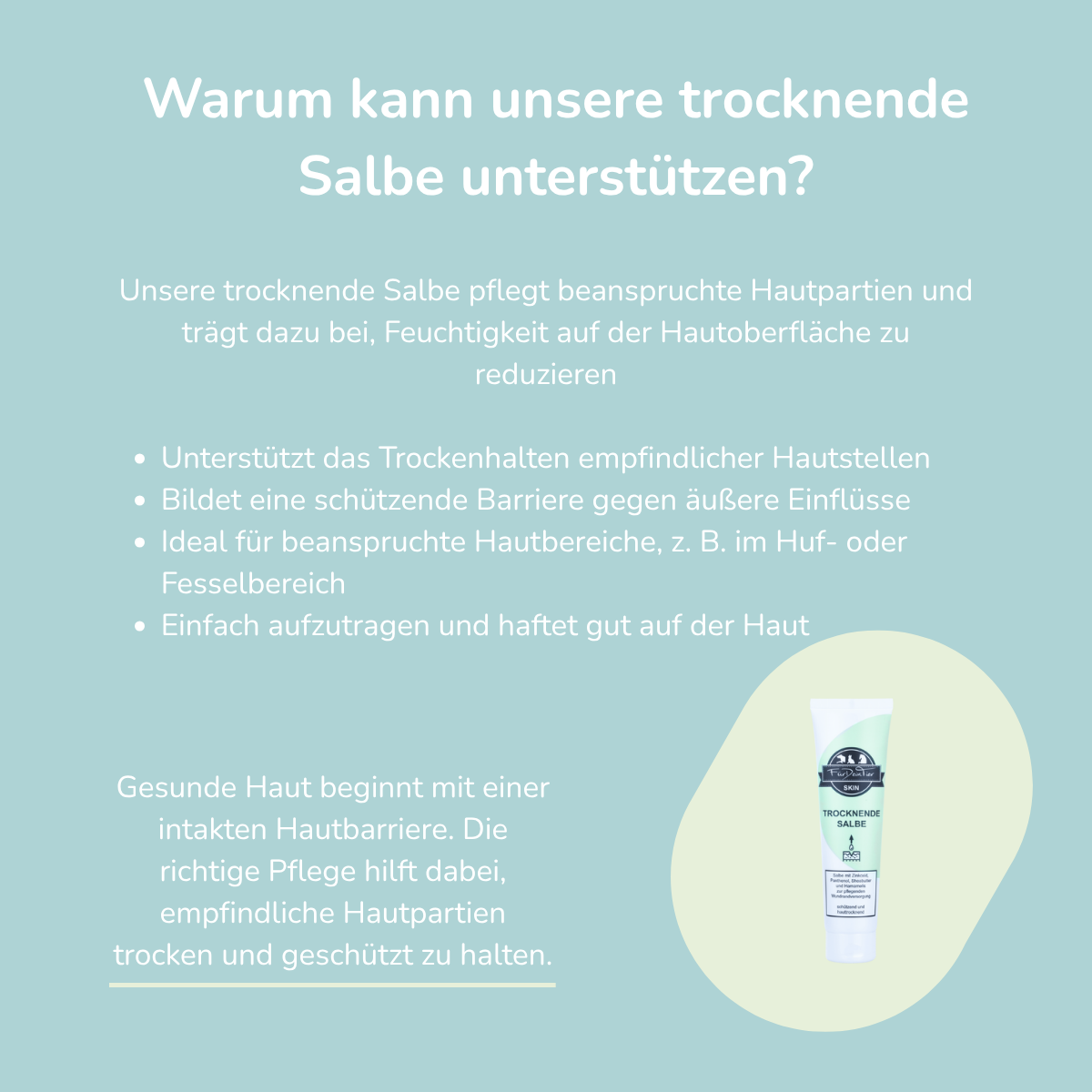 Wundschutz Salbe (trocknend)