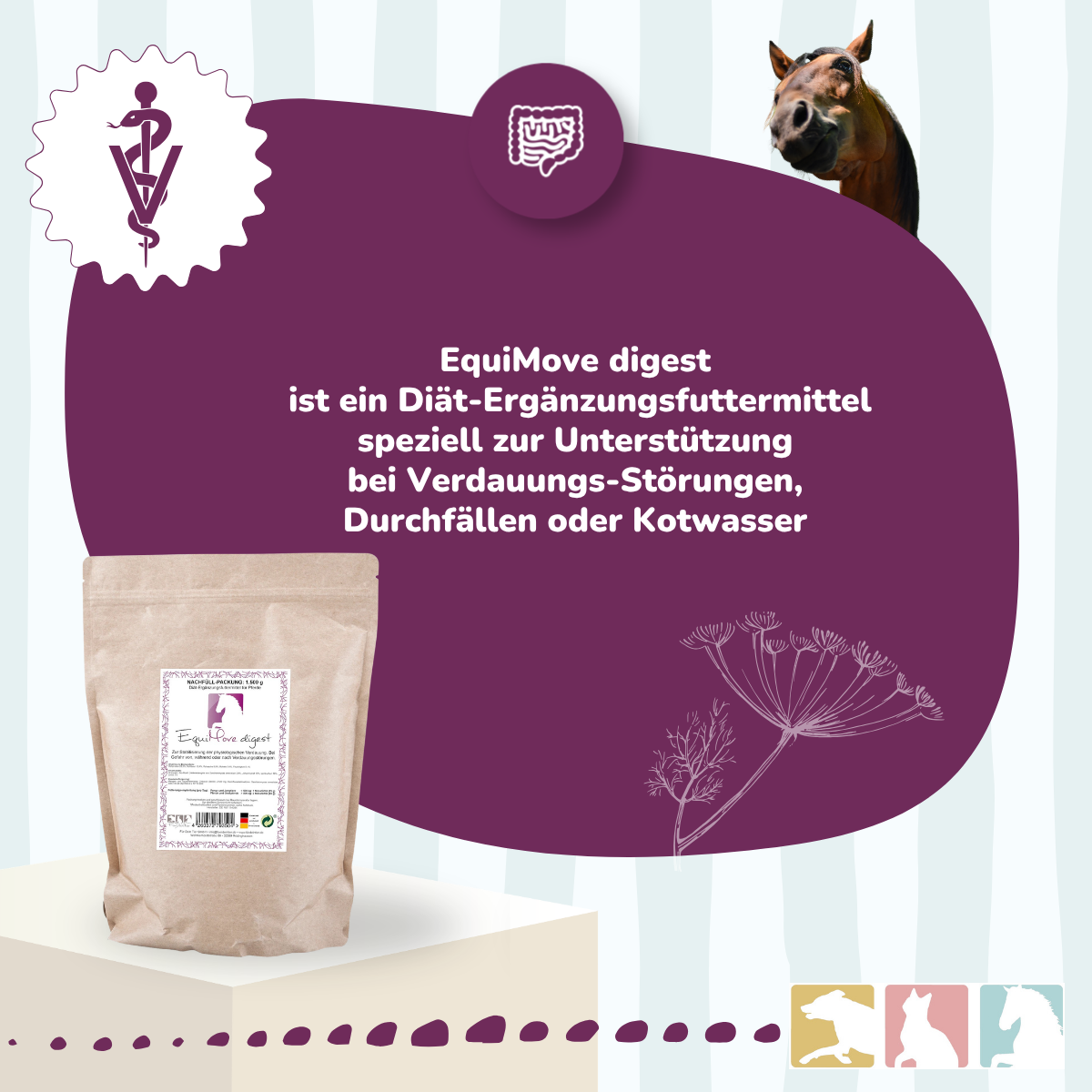 EquiMove digest