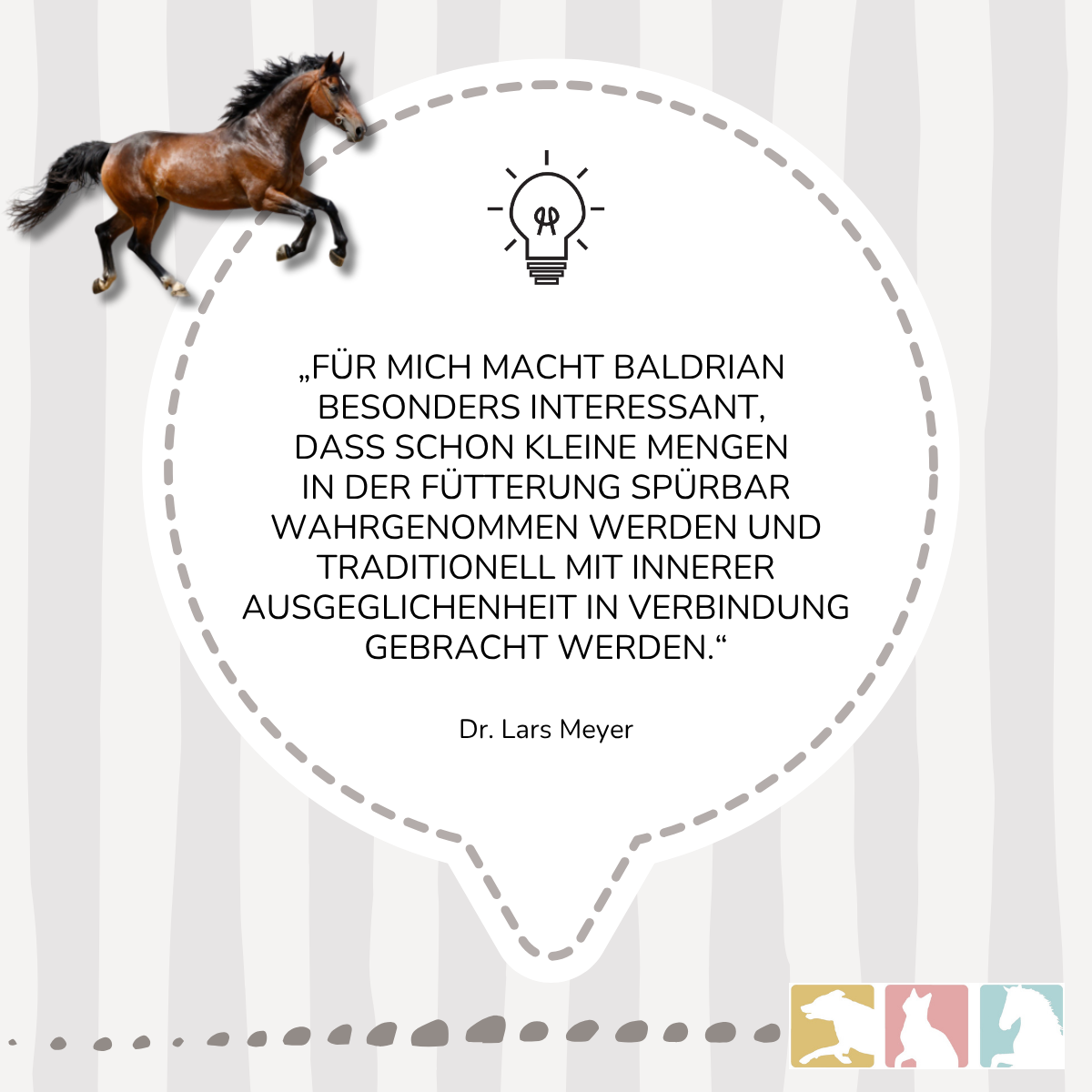 Baldrian (konz.)