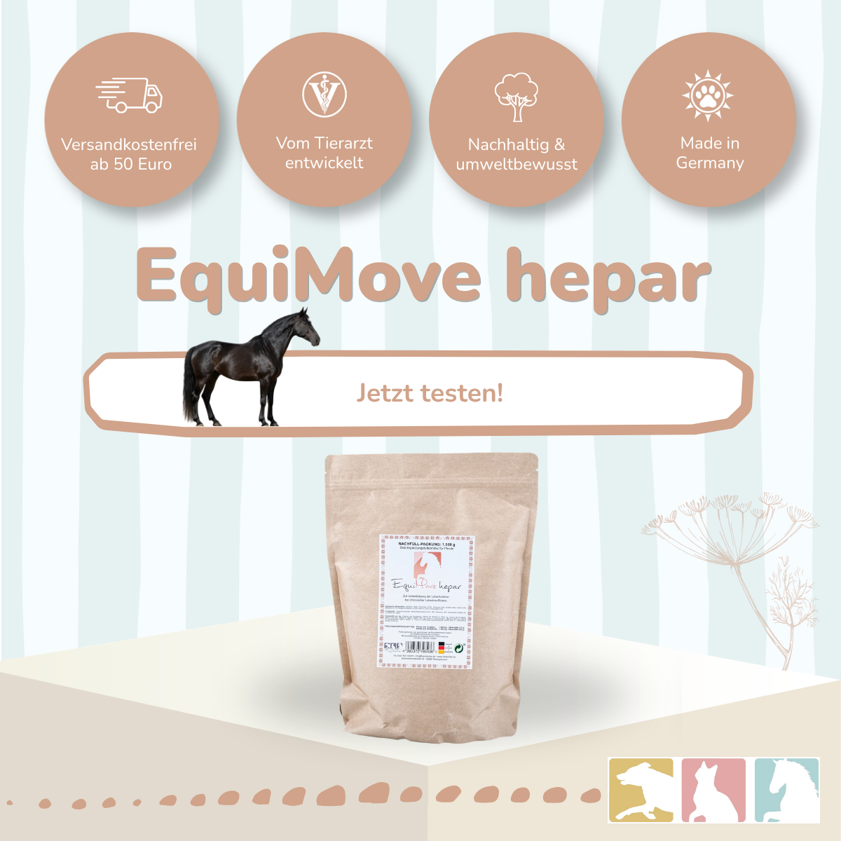 EquiMove hepar