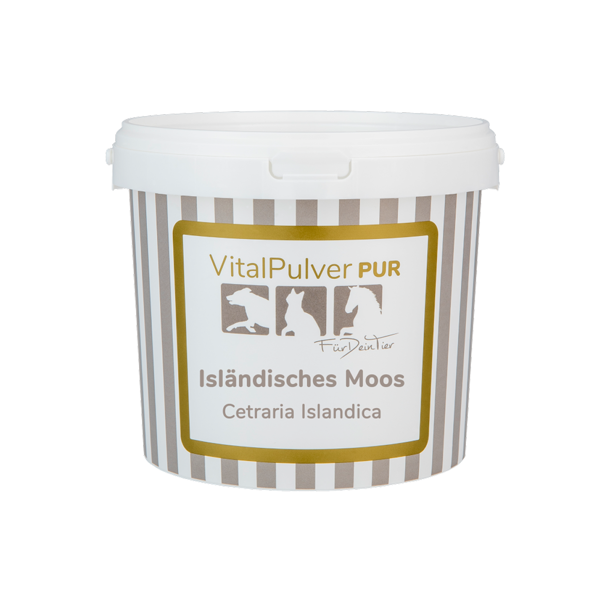Isländisches Moos