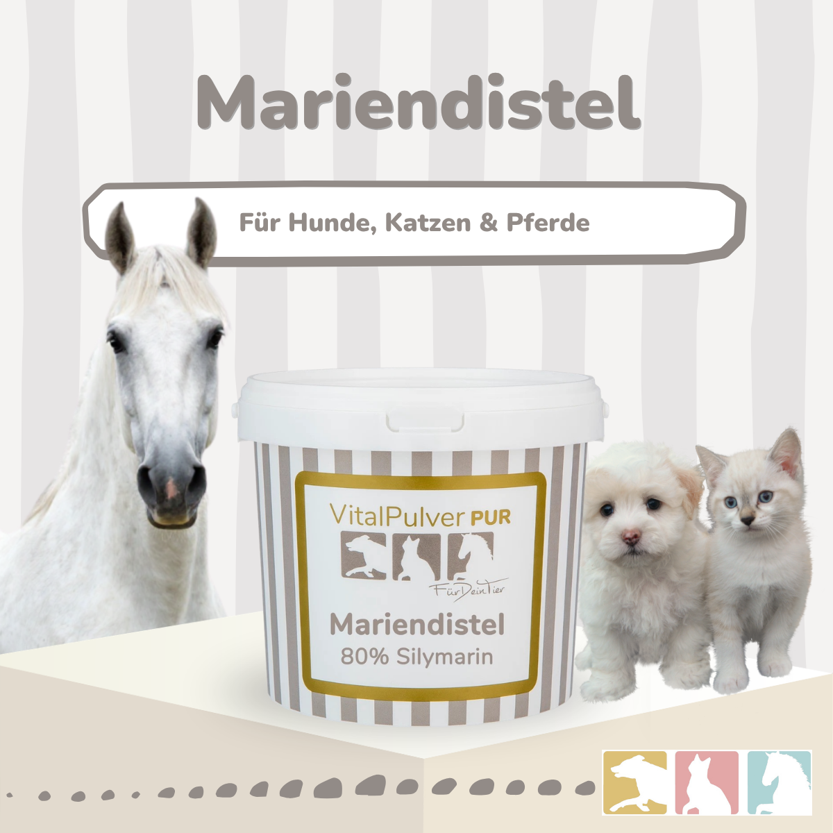 Mariendistel