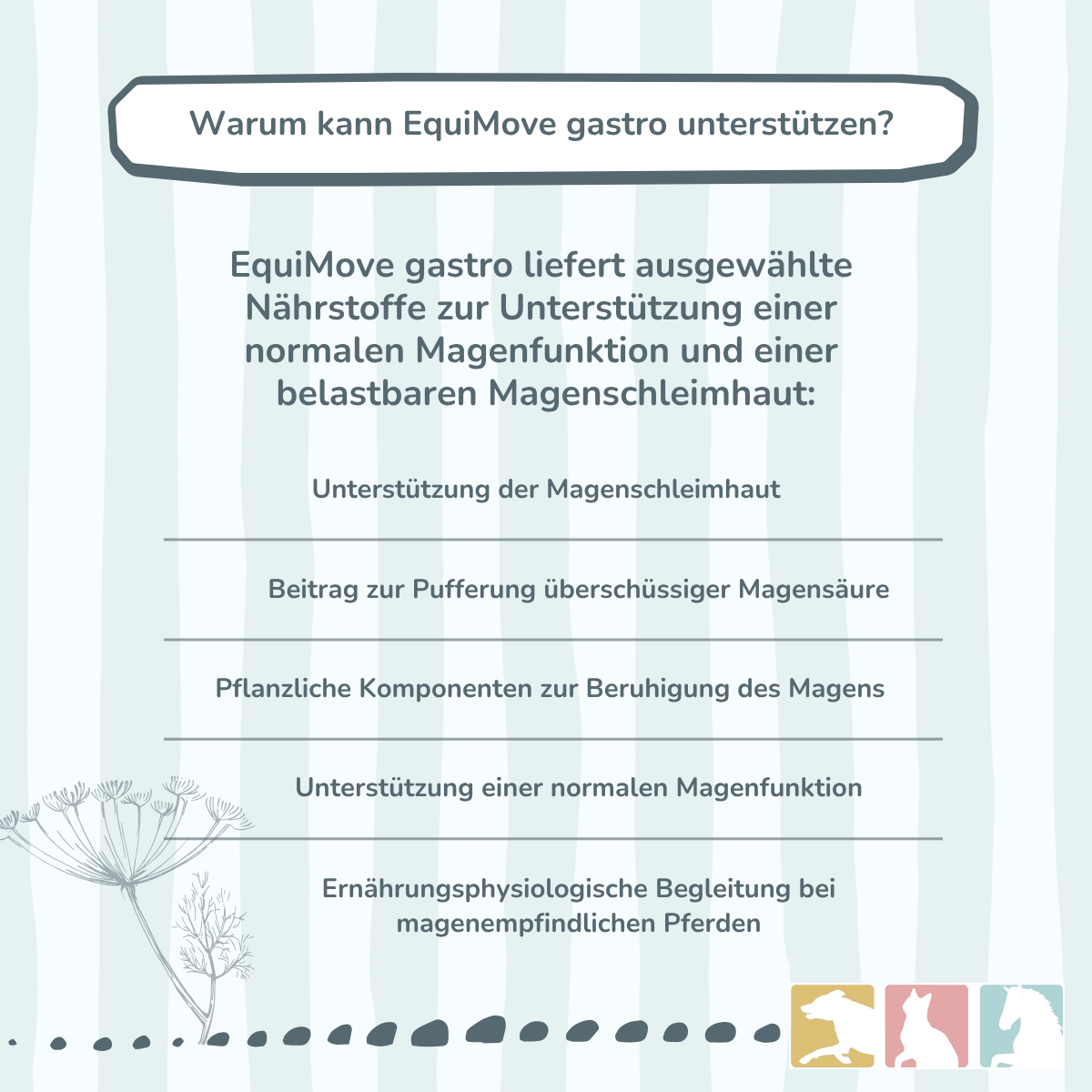 EquiMove gastro