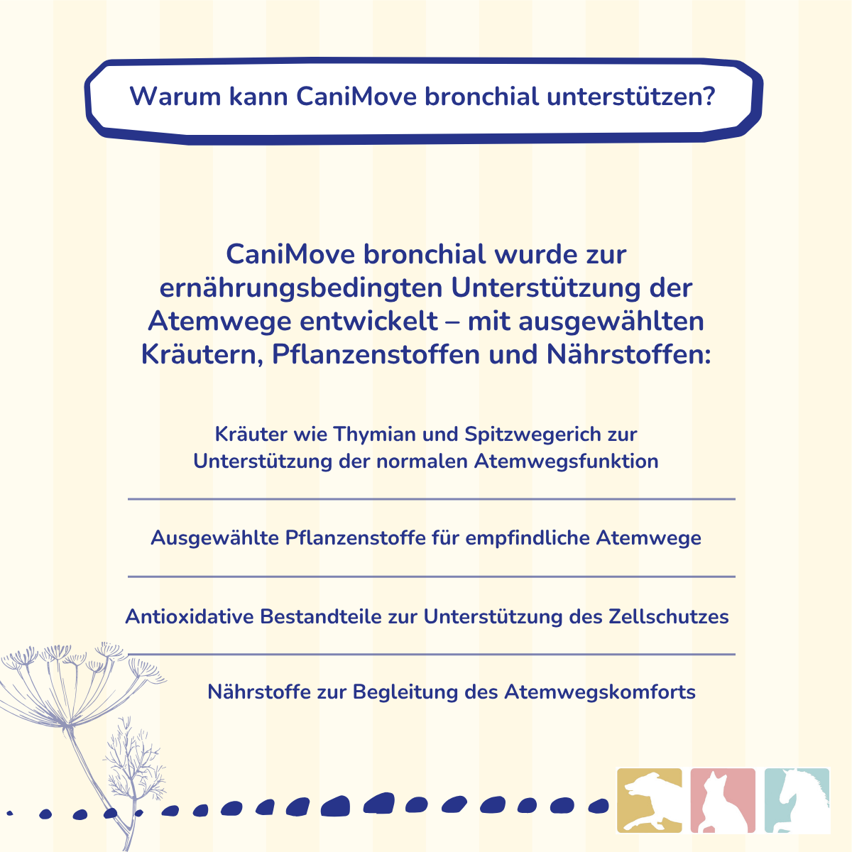 CaniMove bronchial