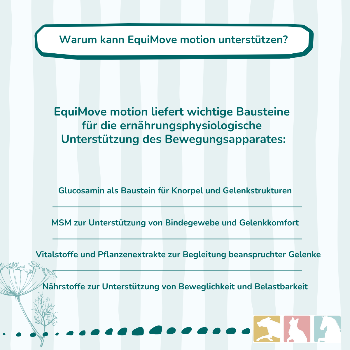 EquiMove motion