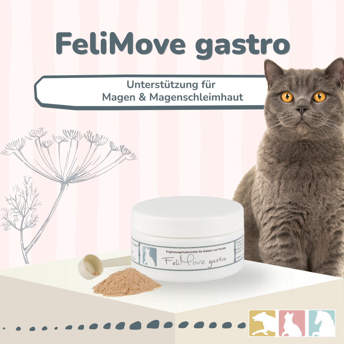 FeliMove gastro