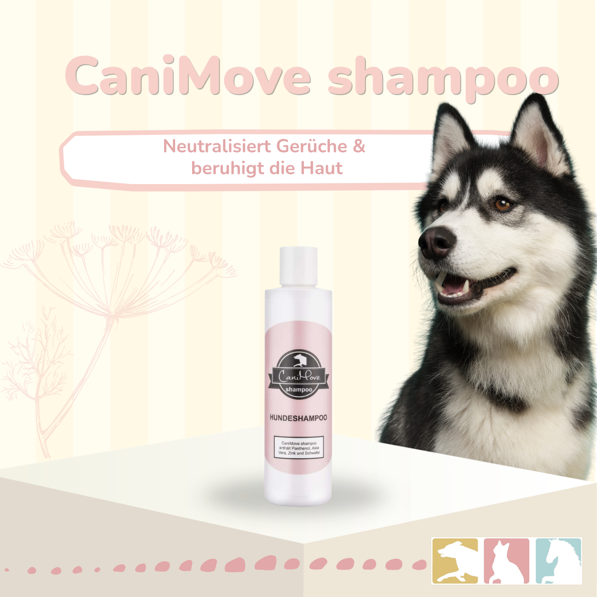 Hundeshampoo