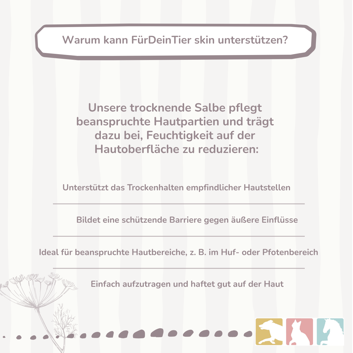Wundschutz Salbe (trocknend)