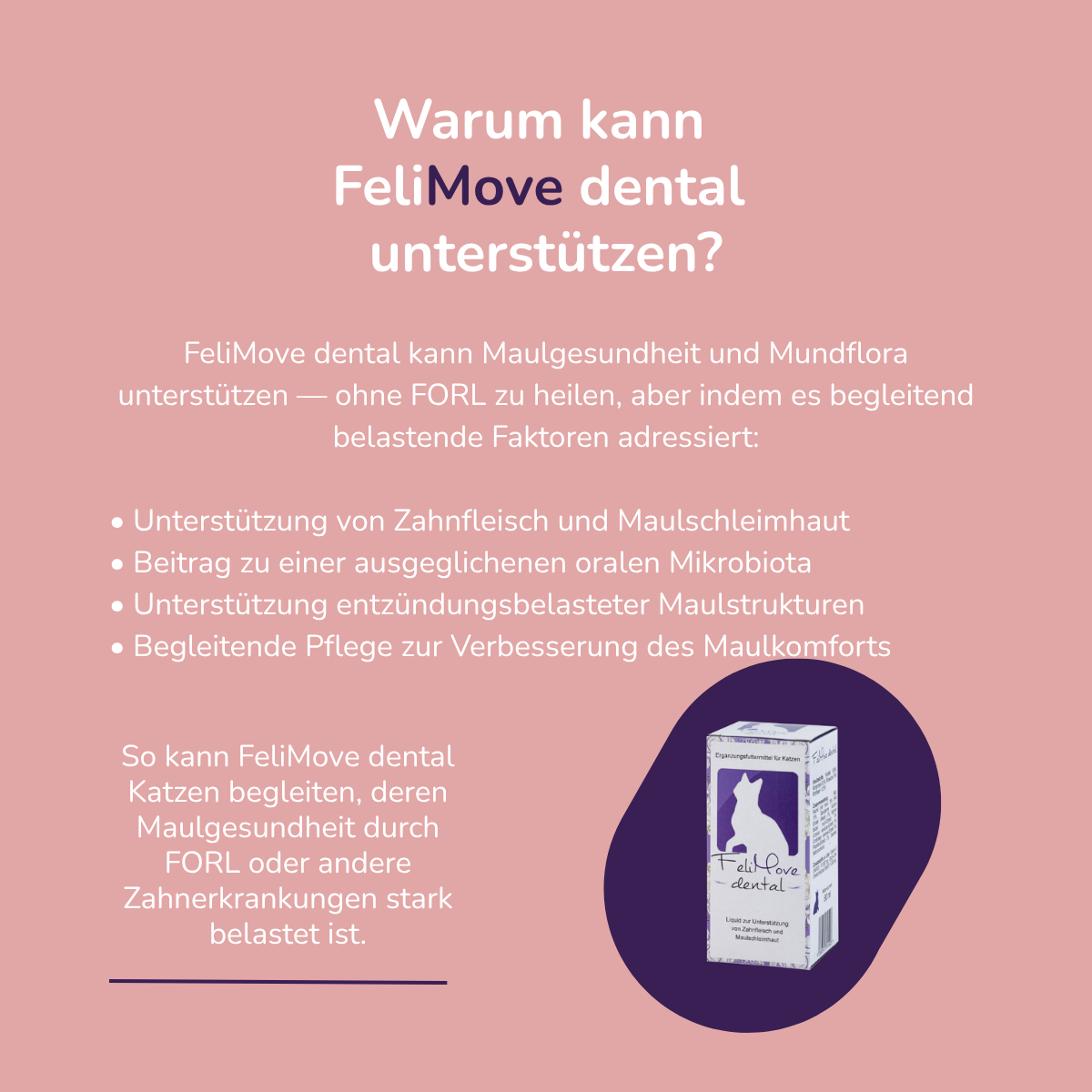 FeliMove dental
