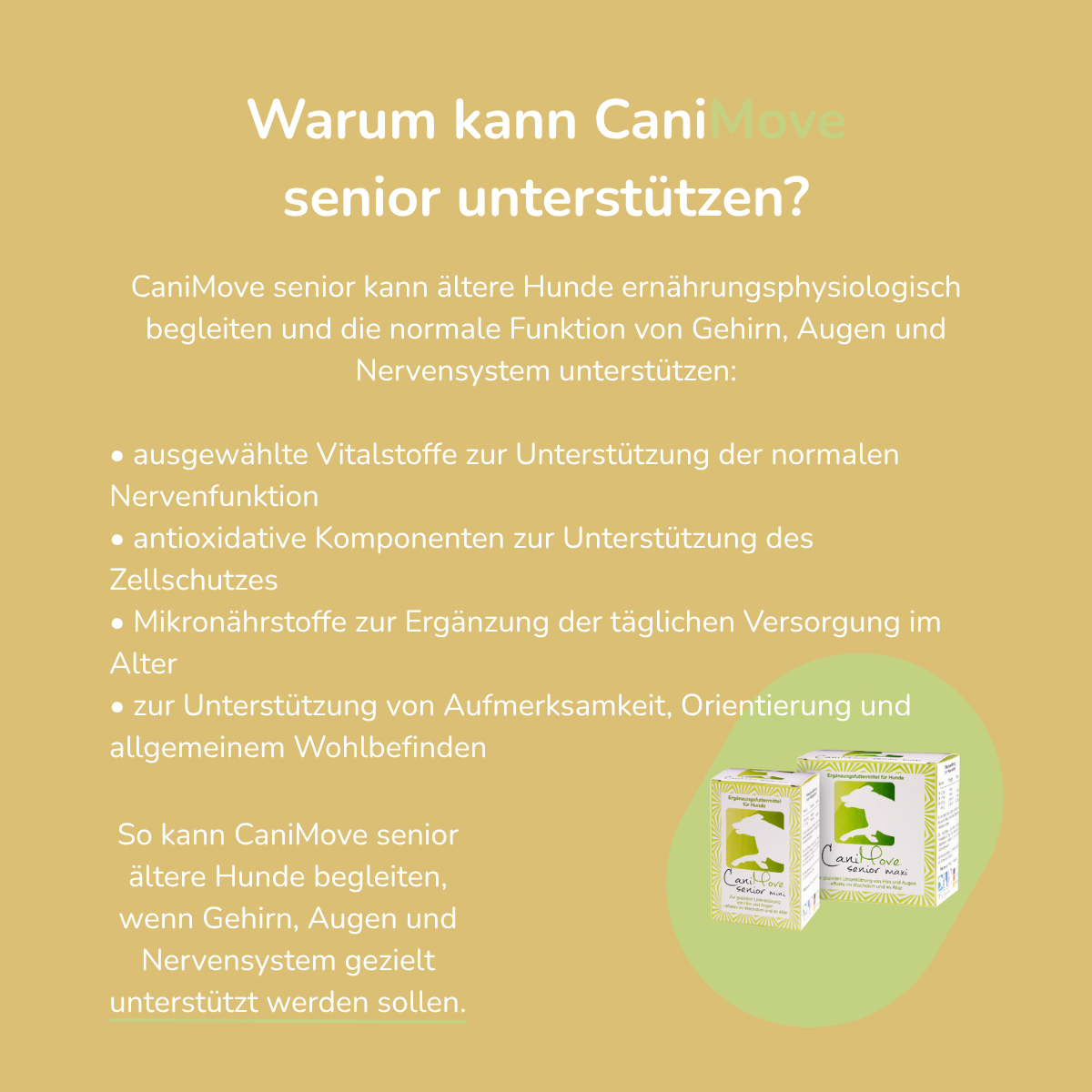 CaniMove senior