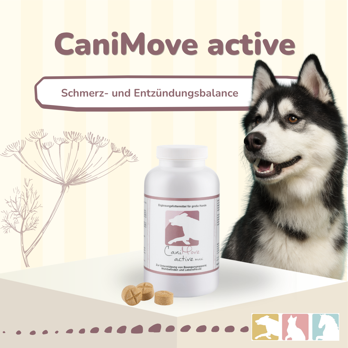 CaniMove active