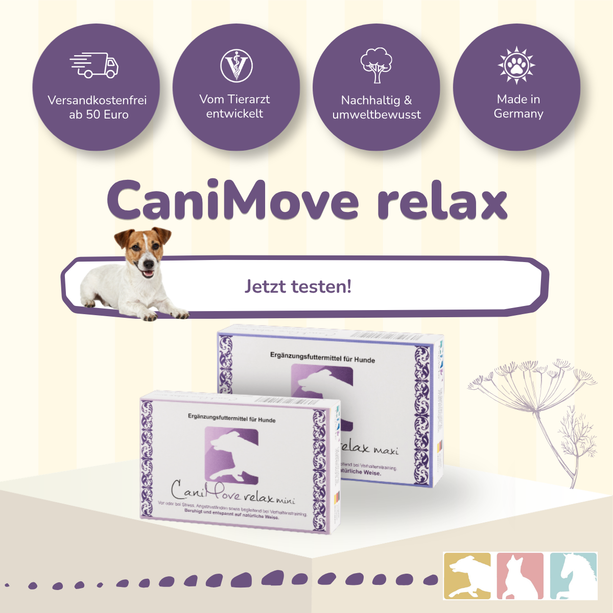 CaniMove relax