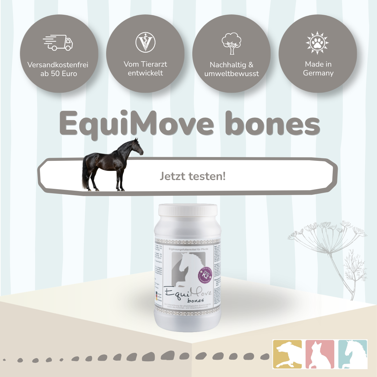 EquiMove bones