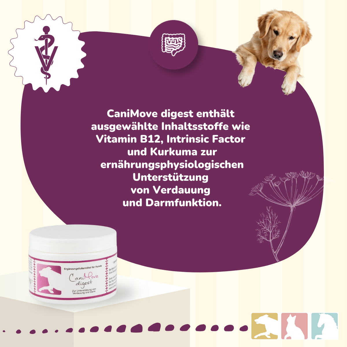 CaniMove digest