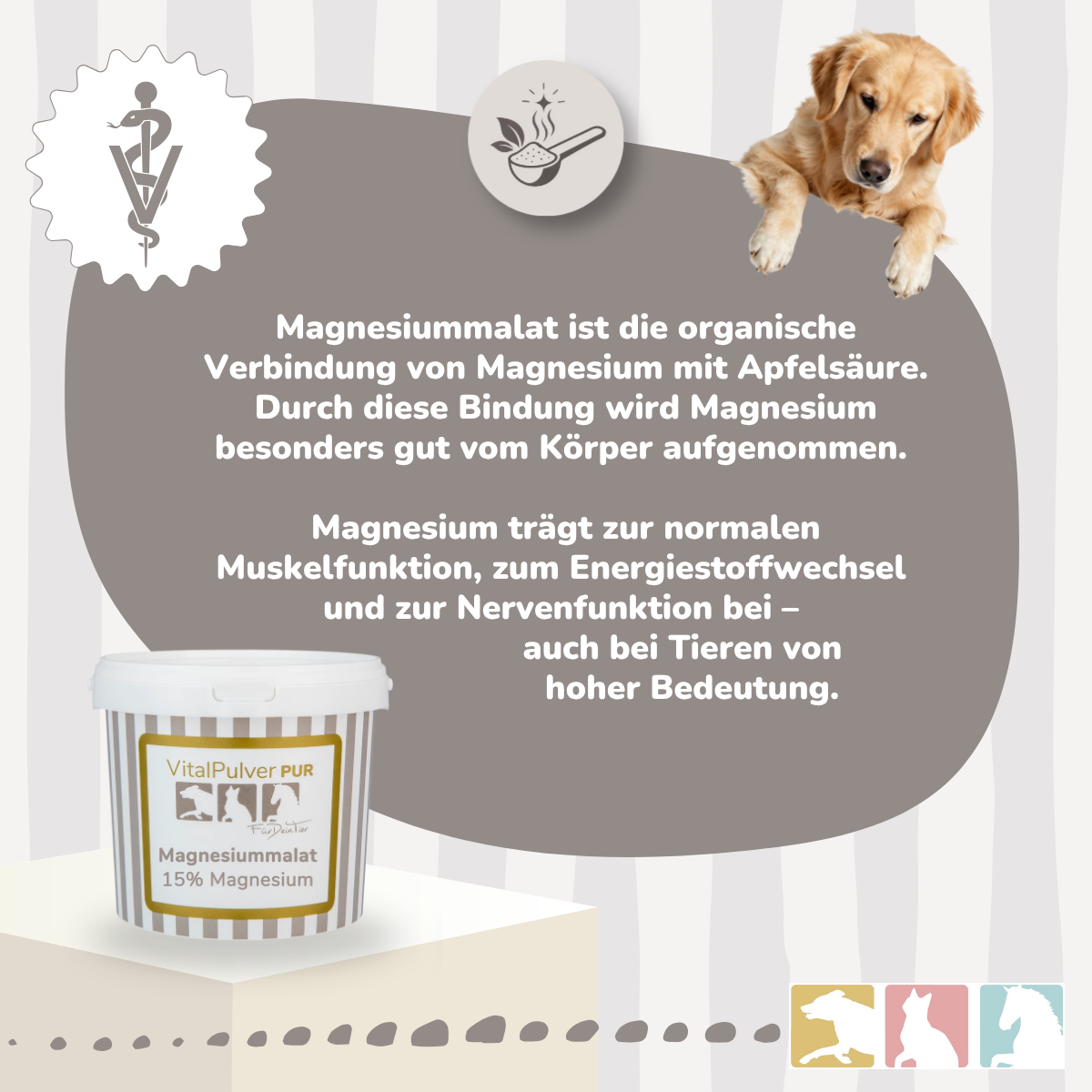 Magnesiummalat