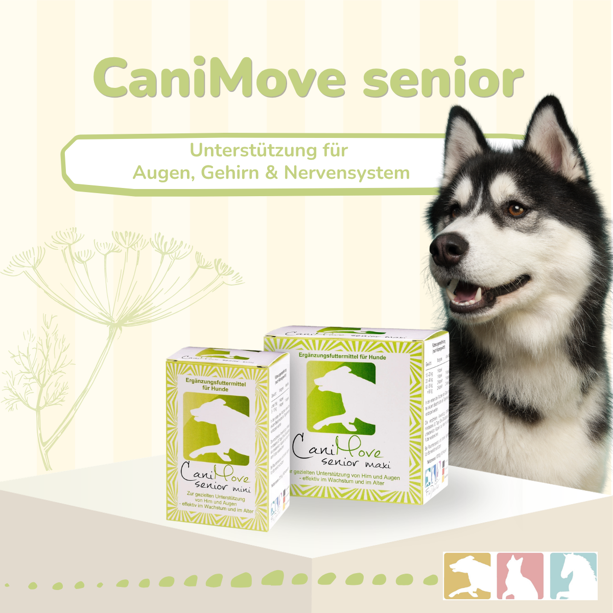 CaniMove senior