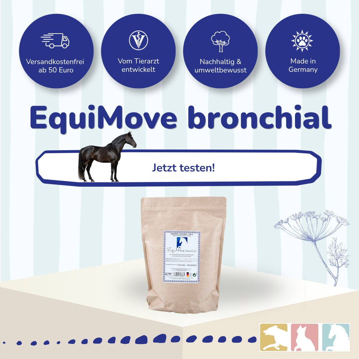 EquiMove bronchial