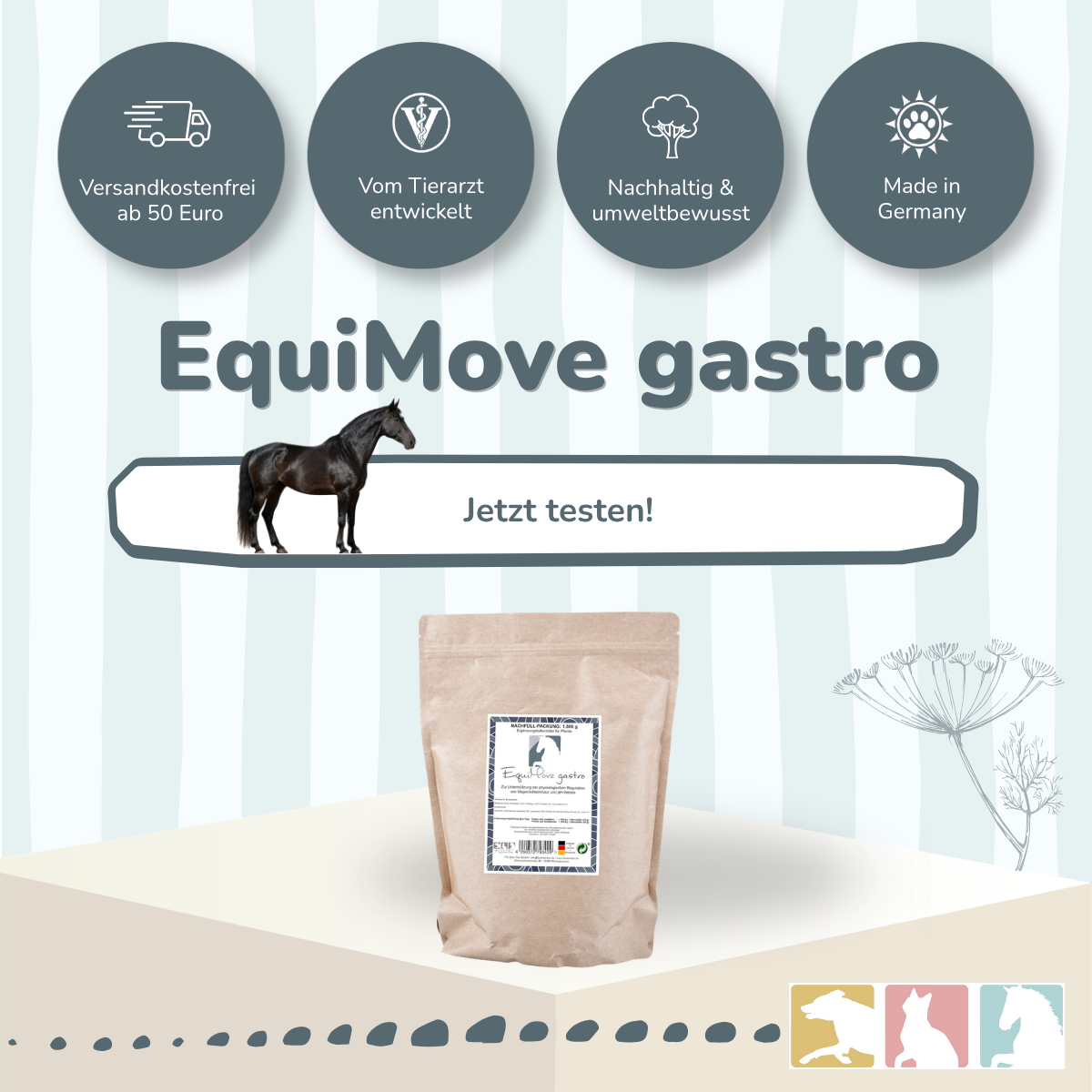 EquiMove gastro