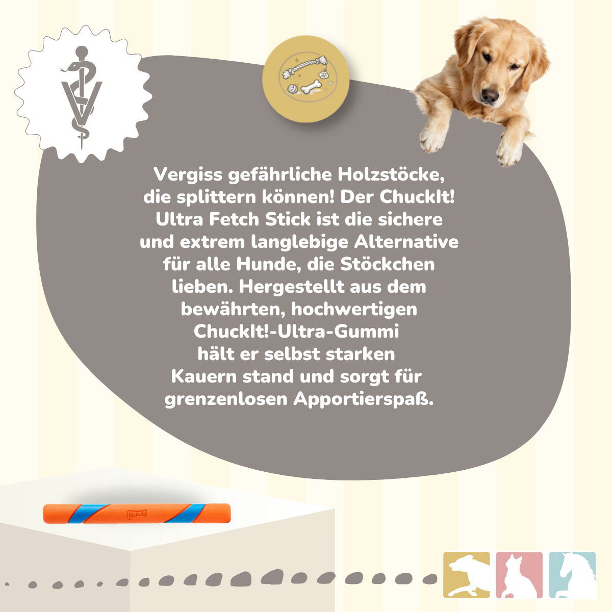 Chuckit! Ultra Fetch Stick